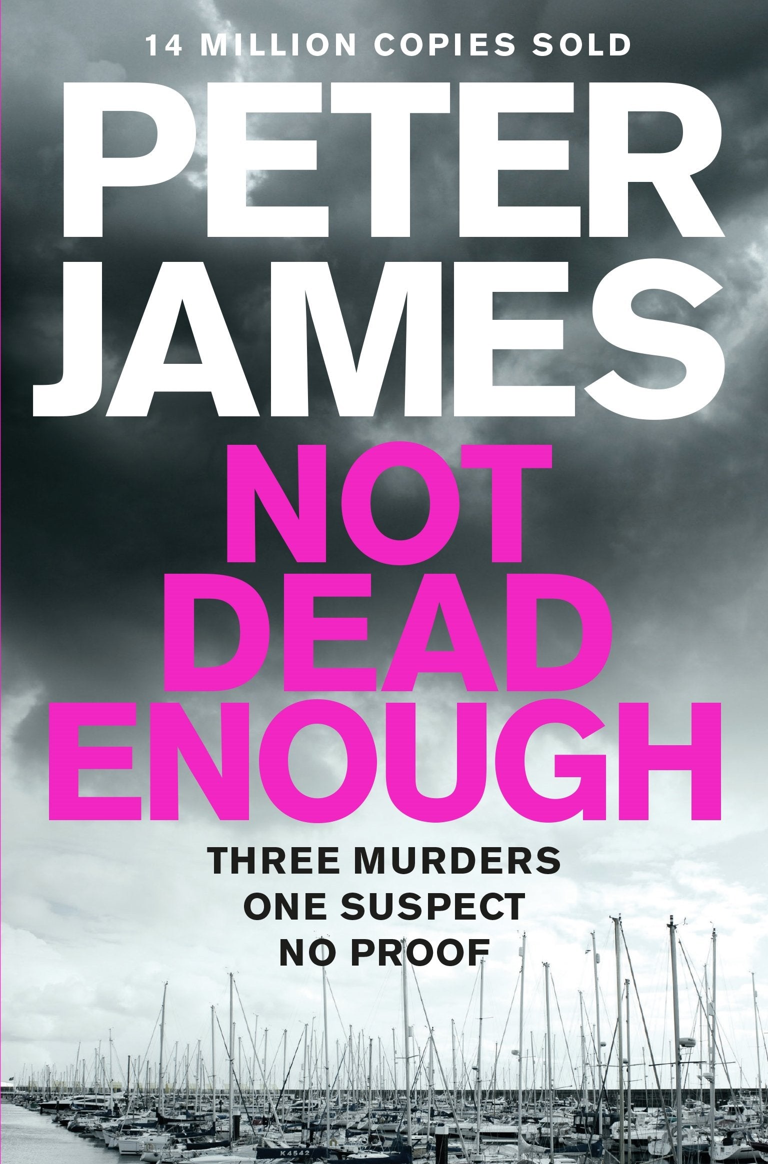 Not Dead Enough: Thriller (Roy Grace, Band 3) Contemporary literature