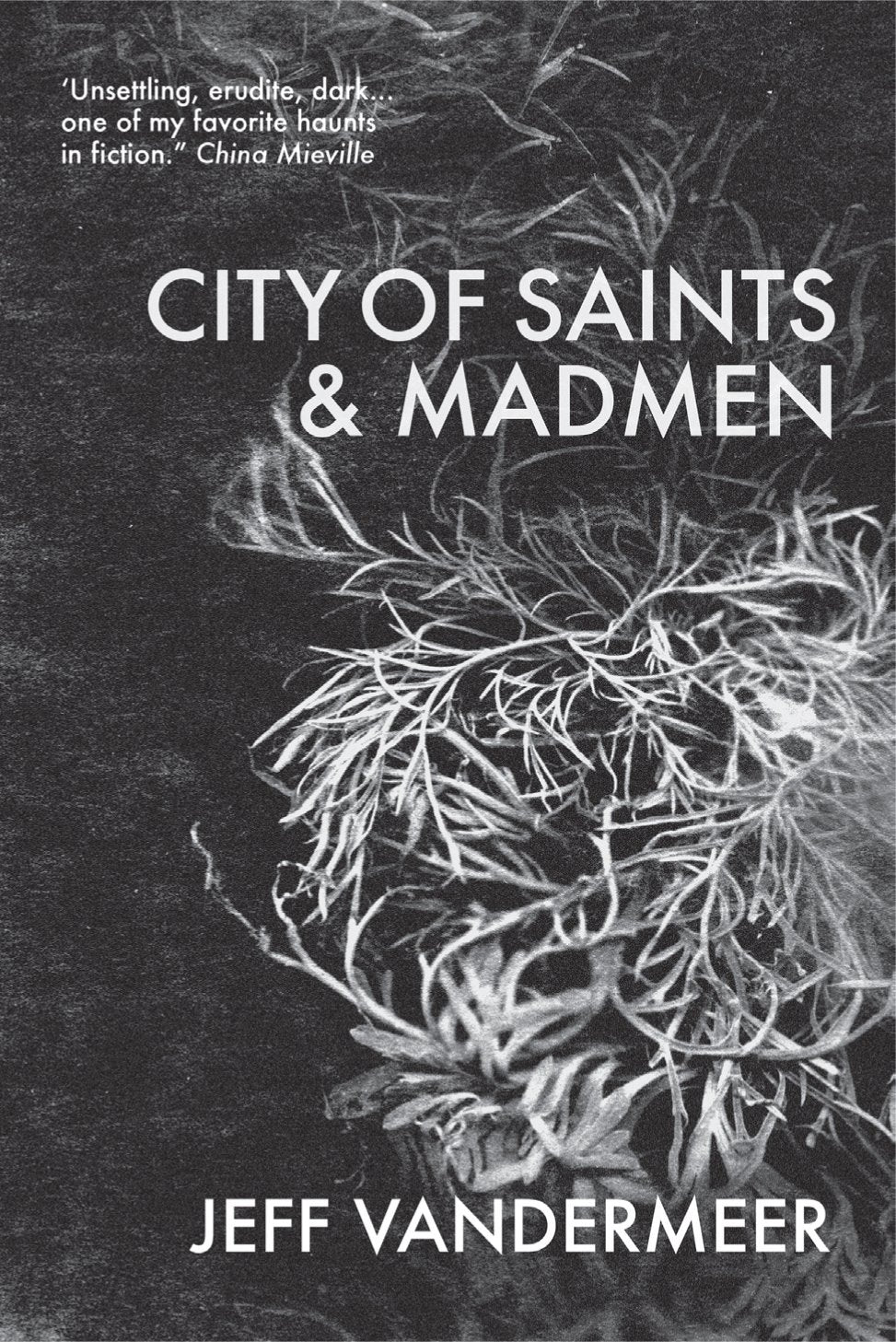 City of Saints and Madmen book