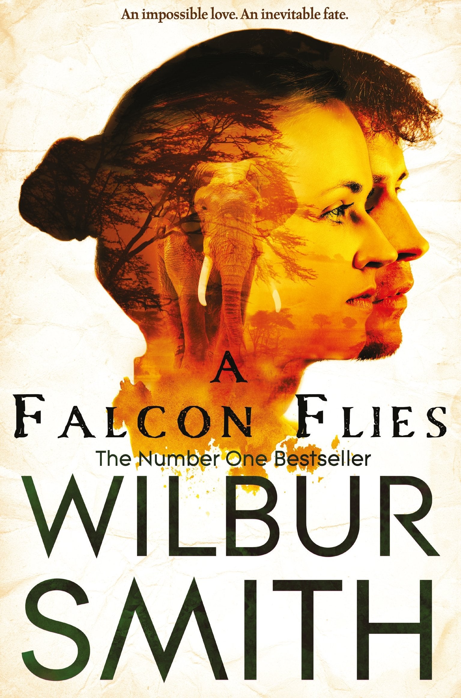 A Falcon Flies (The Ballantyne Novels) book