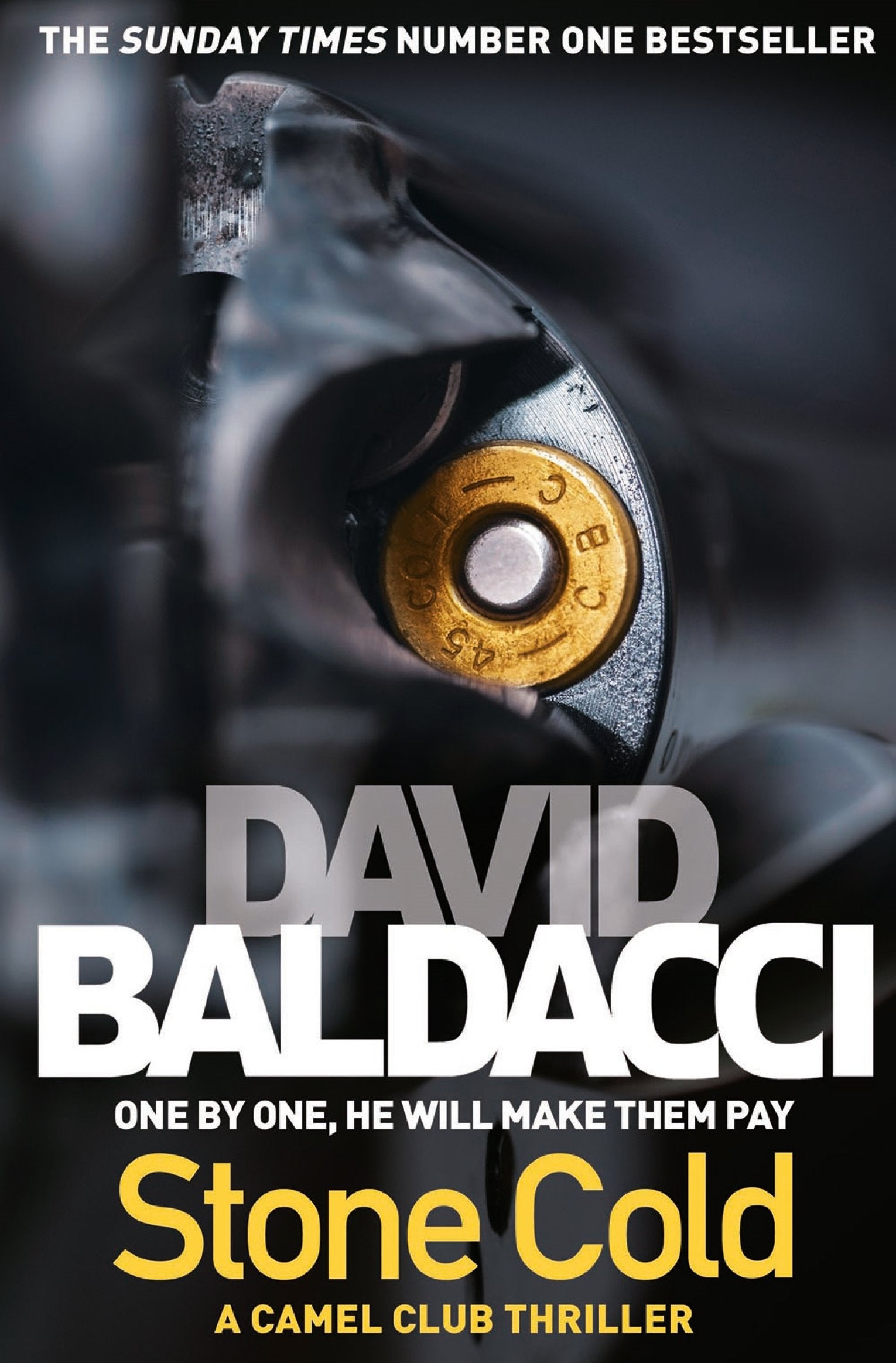 Stone Cold: A Camel Club thriller (The Camel Club, 3) Contemporary literature