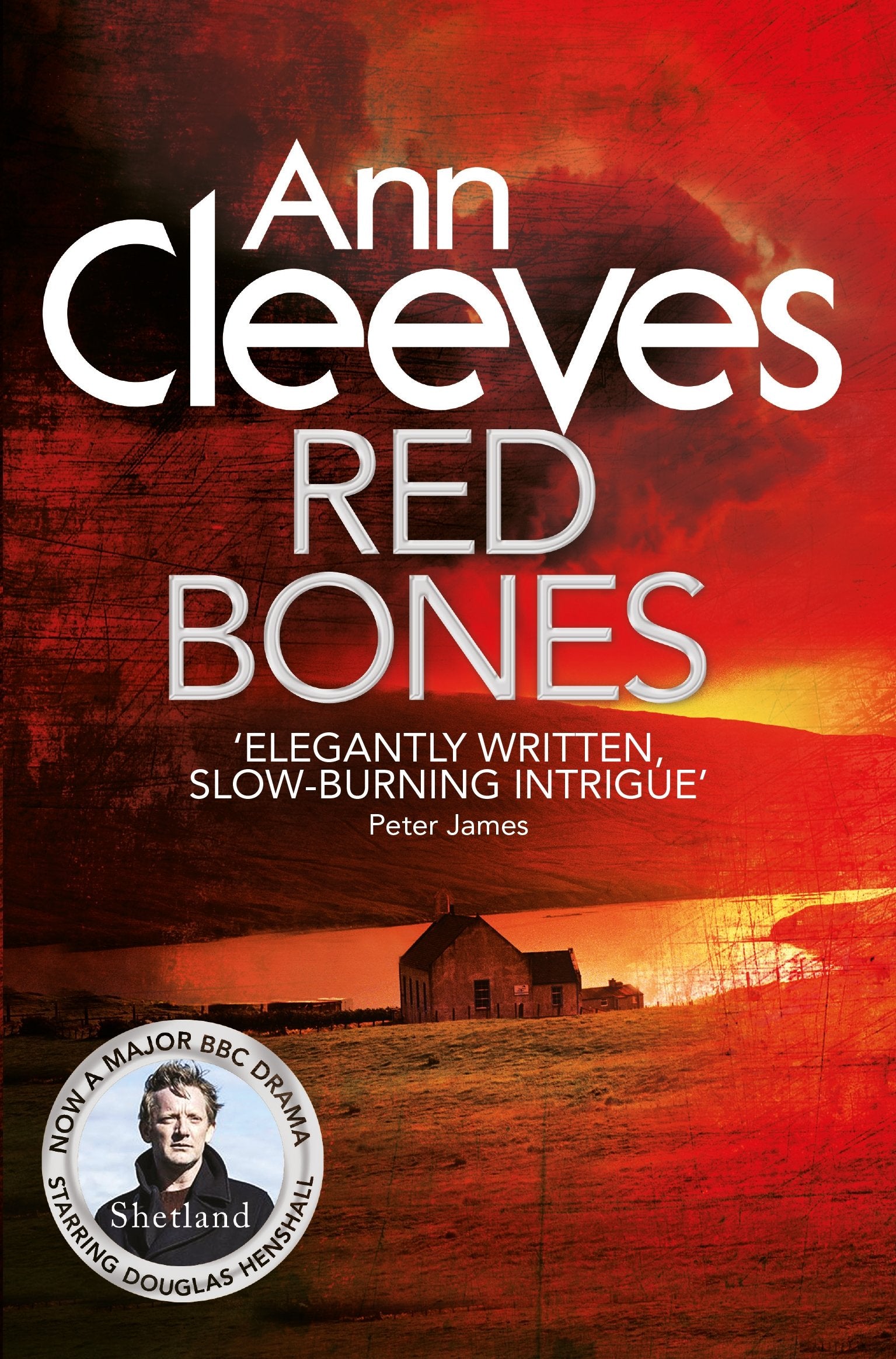 Red Bones Contemporary literature Books