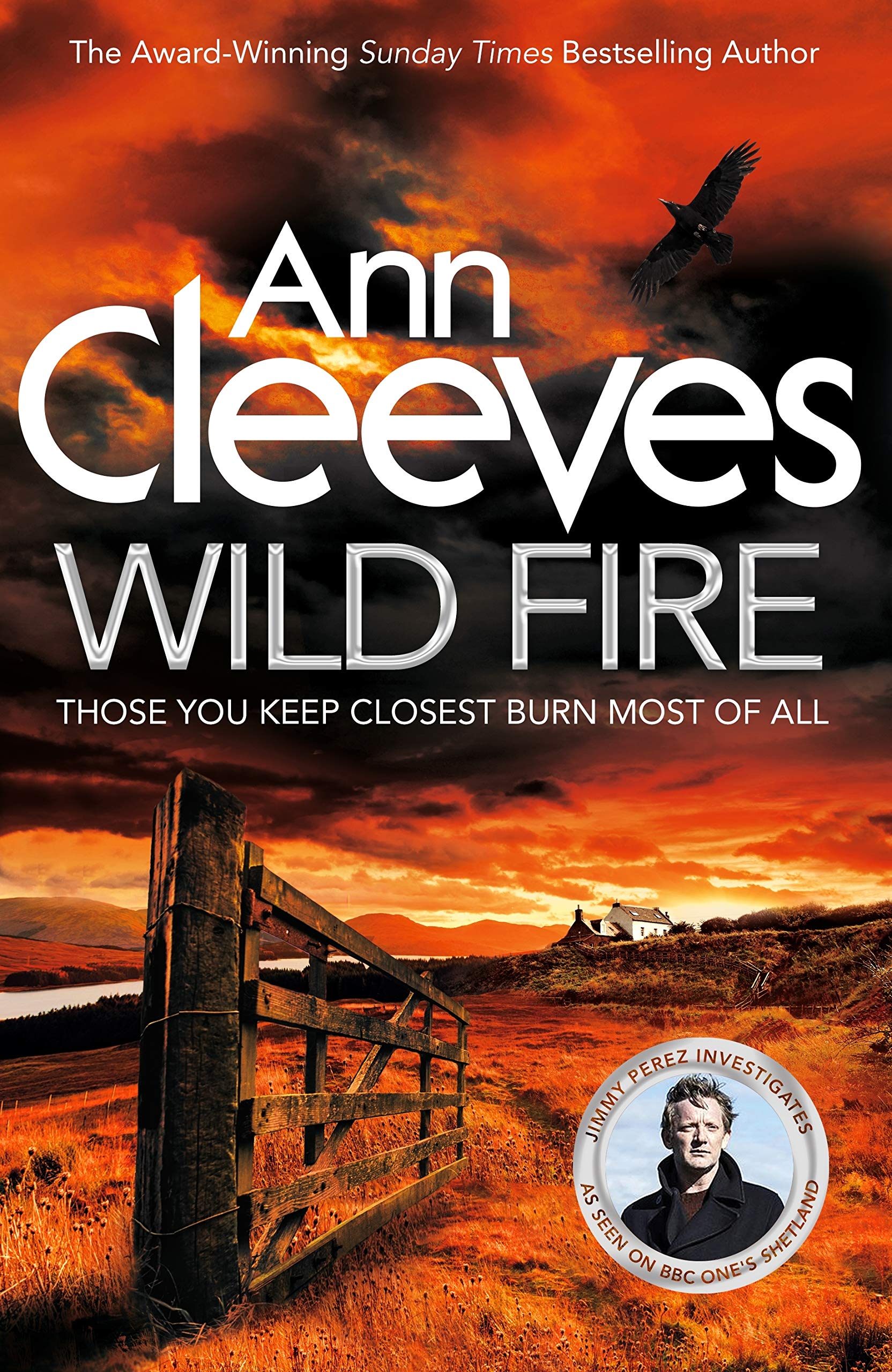 Wild Fire: Detective Jimmy Perez Returns in the New Murder Mystery from the Sunday Times Bestseller (Shetland, 8) Contemporary literature