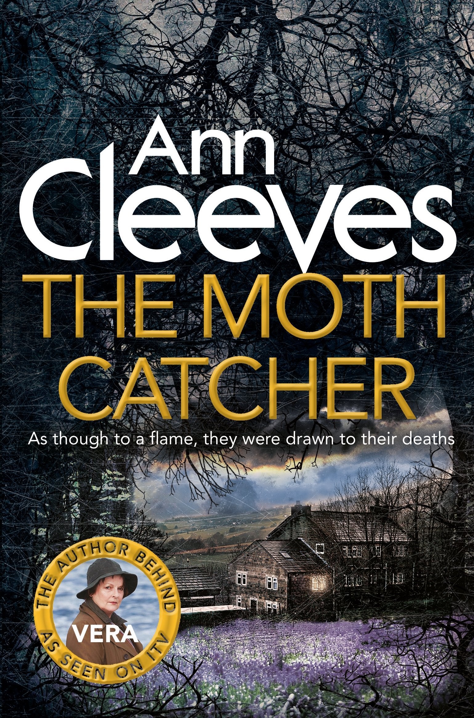 The Moth Catcher Contemporary literature Books
