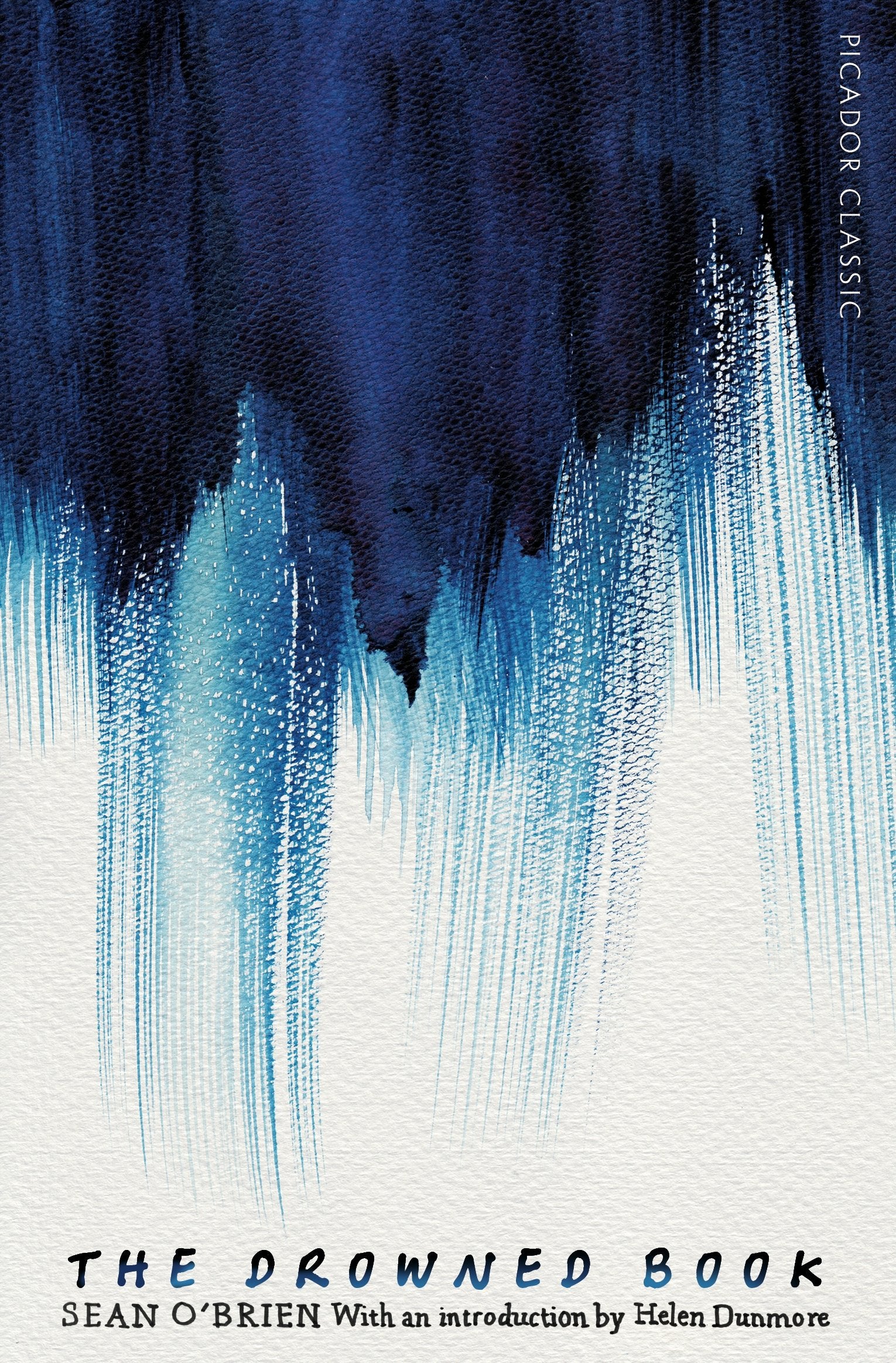 Product Image: The Drowned Book