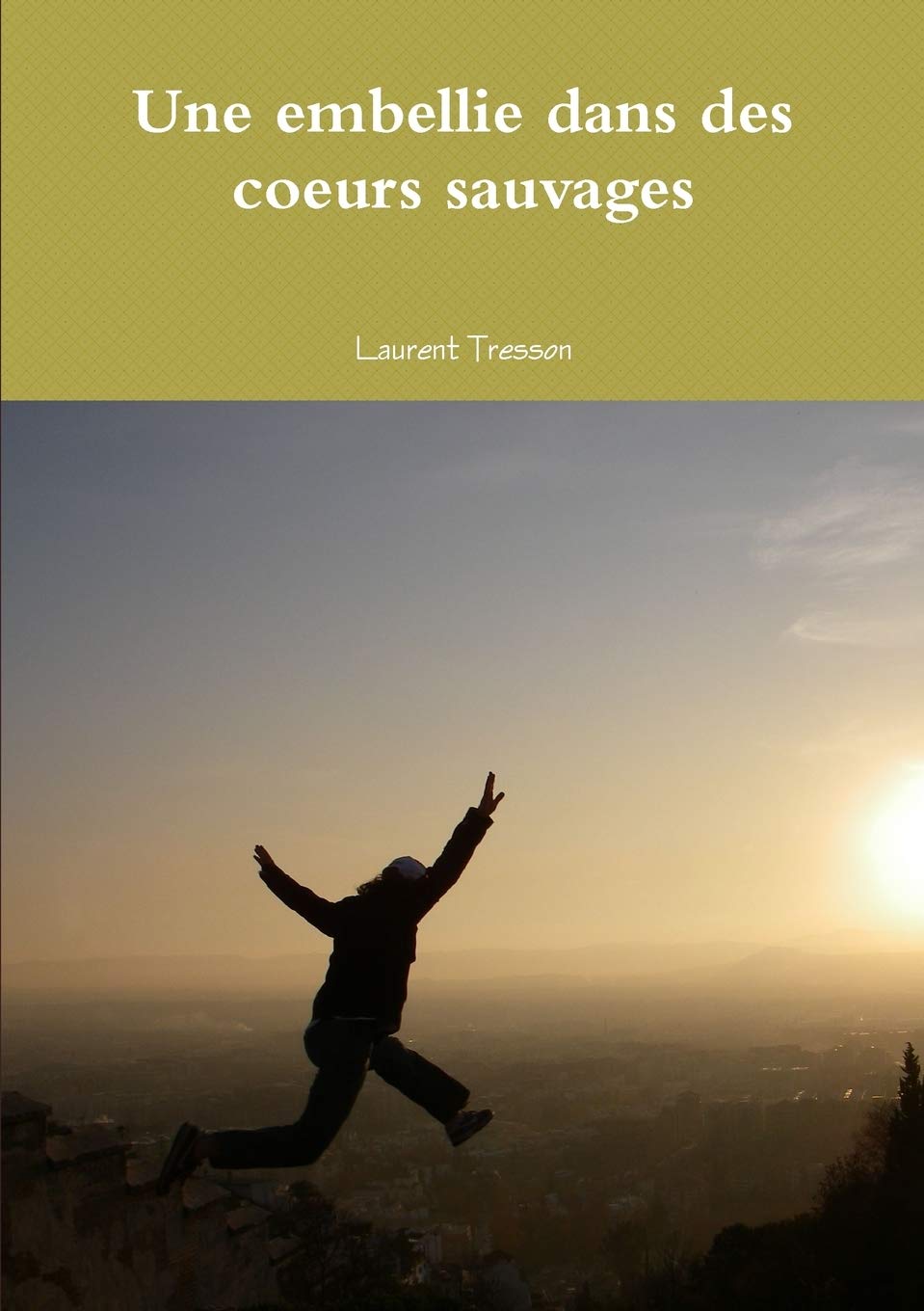 Une embellie dans des coeurs sauvages book