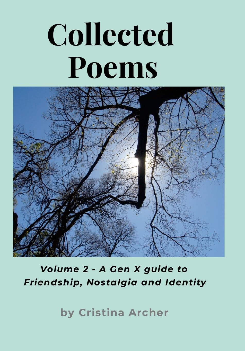 Collected Poems (volume 2) - A Gen-X Guide to Friendship, Nostalgia and Identity Poetry
