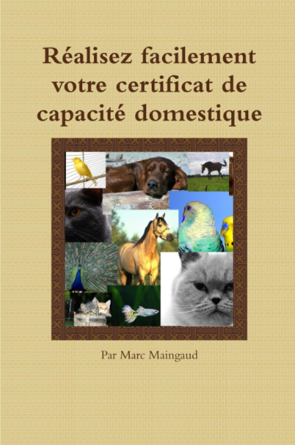 Réalisez facilement votre certificat de capacité domestique Pets