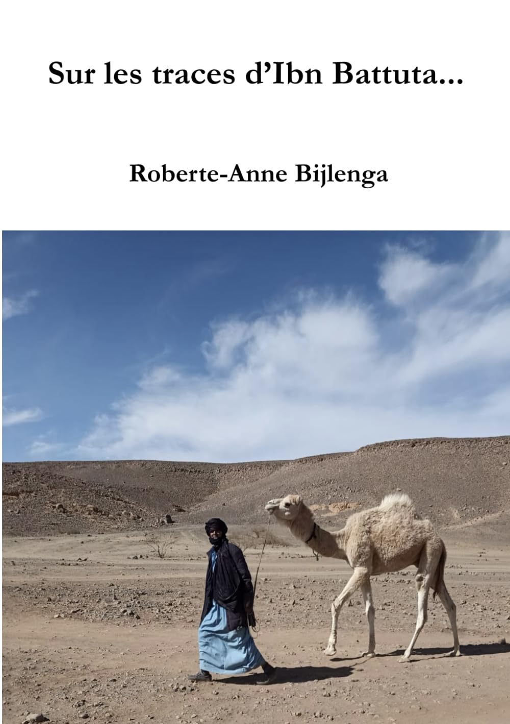 Sur les traces d'Ibn Battuta book