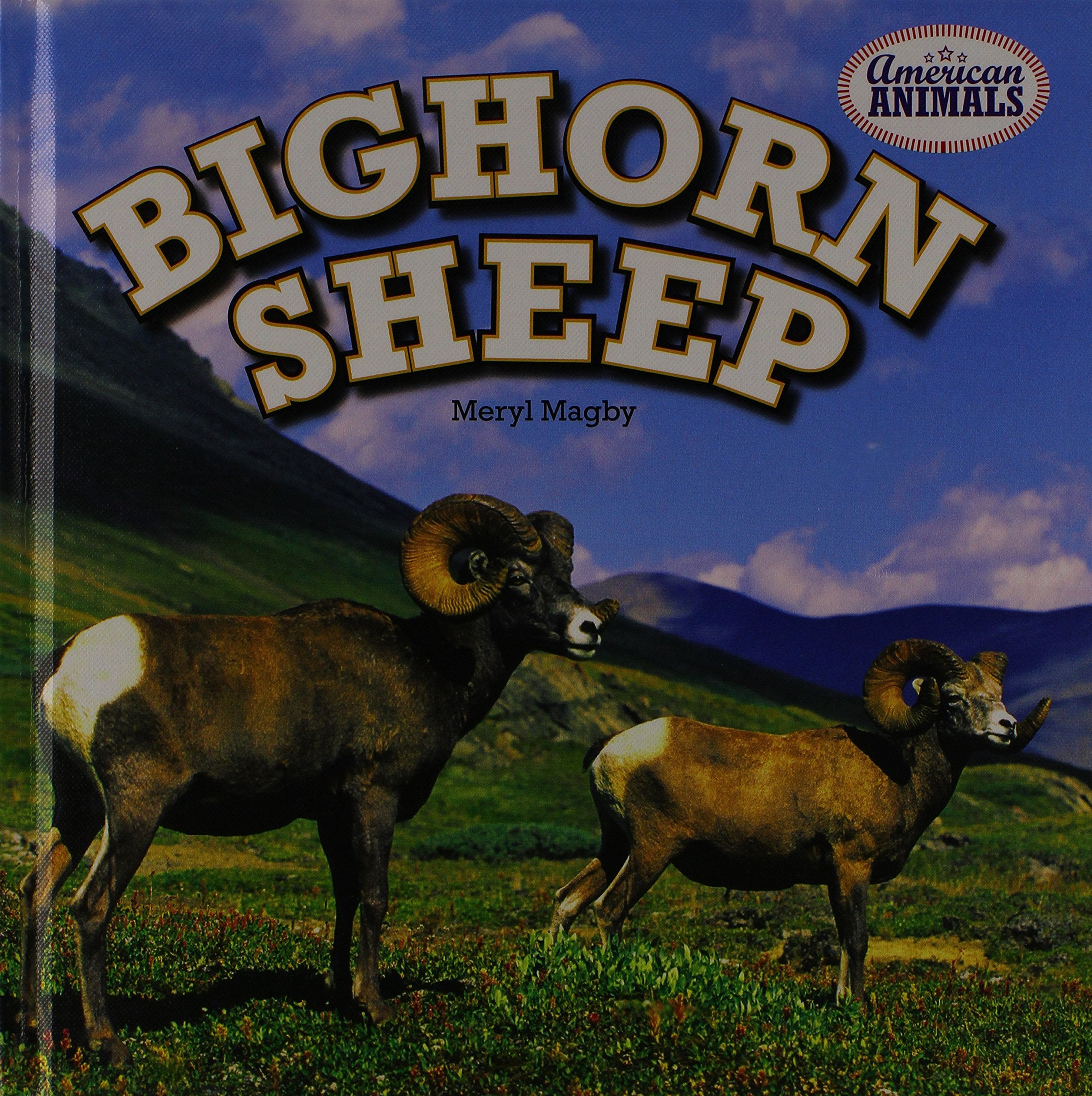 Bighorn Sheep (American Animals) Mathematics
