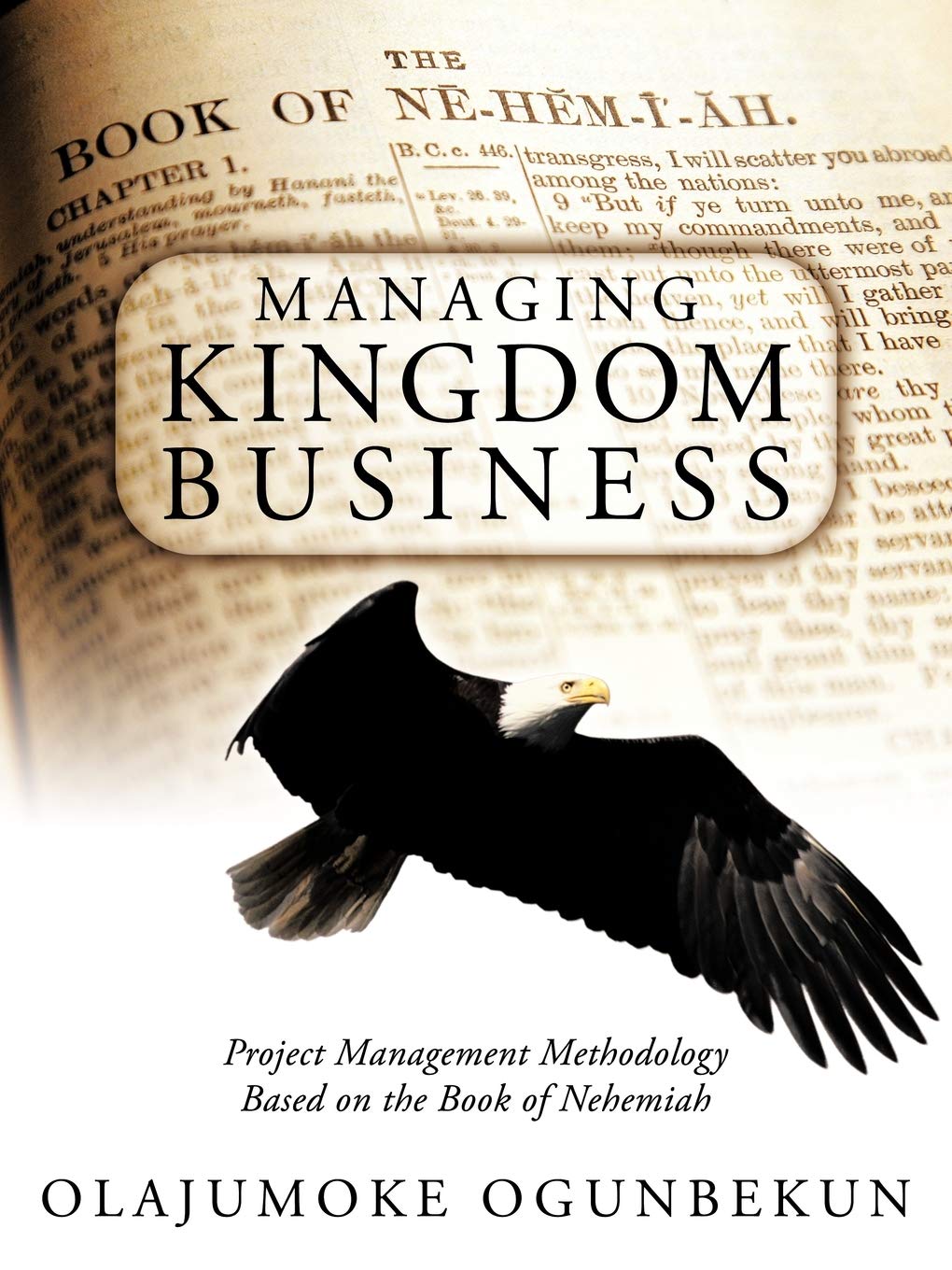 Managing Kingdom Business: Project Management Methodology Based on the Book of Nehemiah Business, Finance & Career