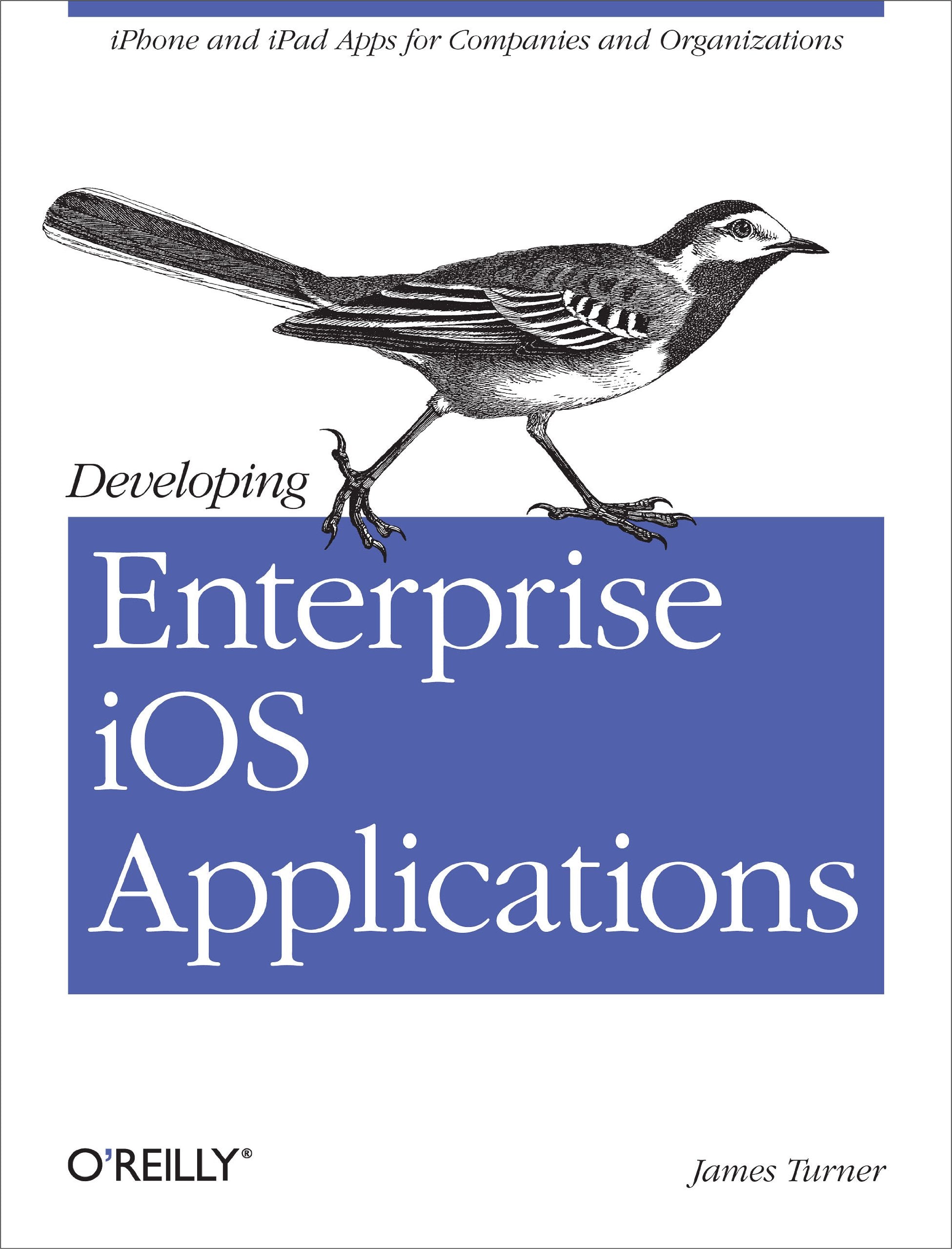 Developing Enterprise iOS Applications: iPhone and iPad Apps for Companies and Organizations Computer Science