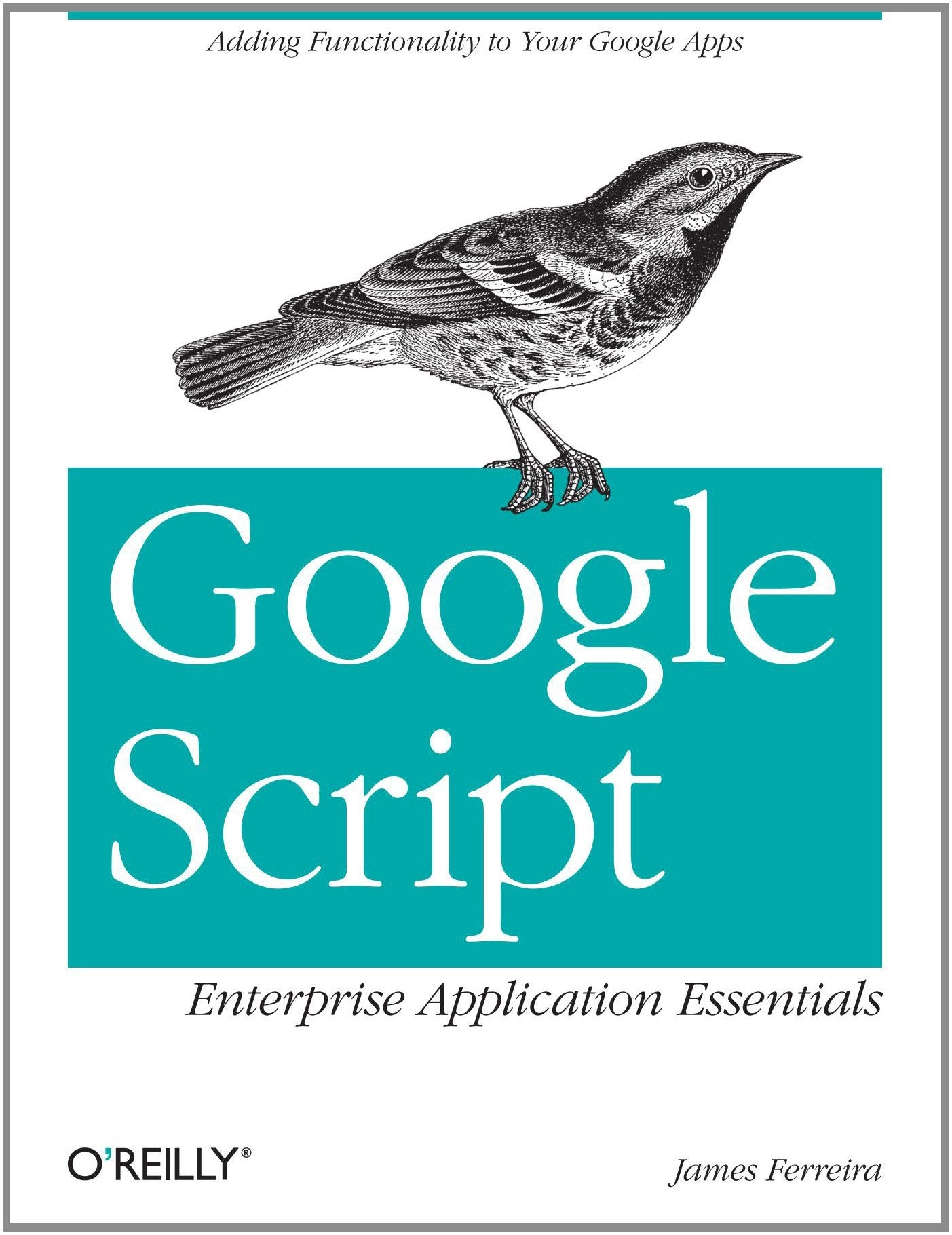 Google Script: Enterprise Application Essentials: Adding Functionality to Your Google Apps Computer Science Books