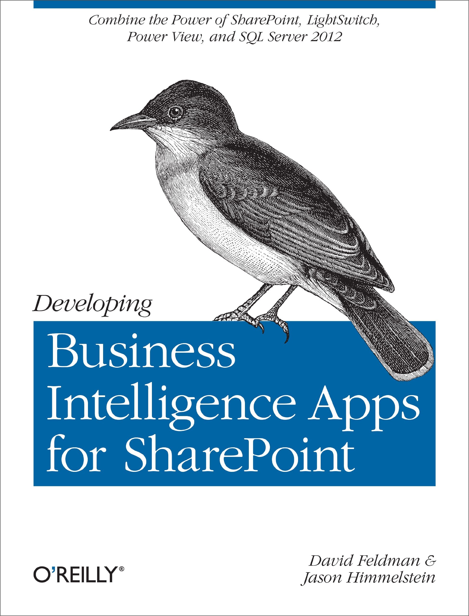 Developing Business Intelligence Apps for SharePoint Business, Finance & Career