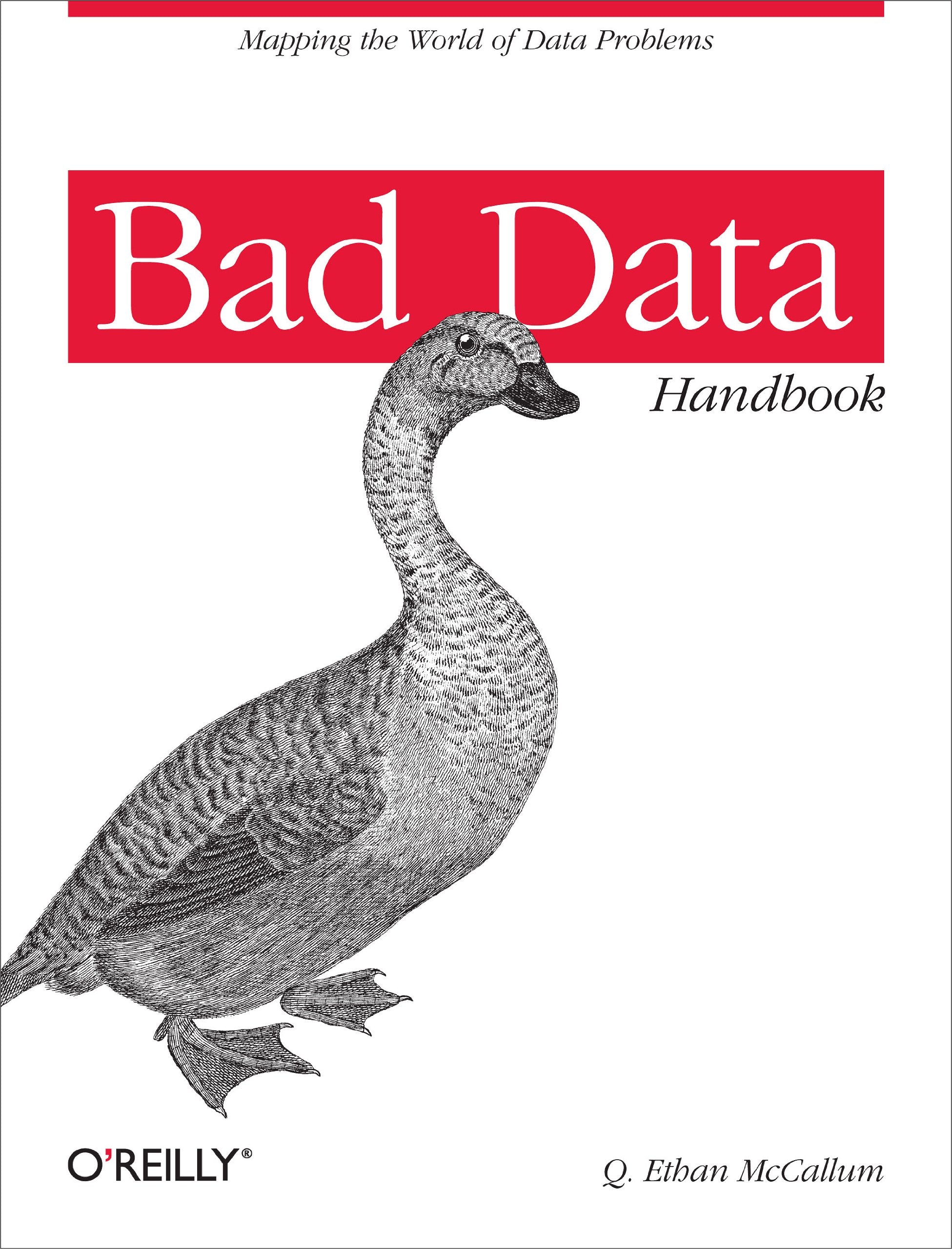 Bad Data Handbook: Cleaning Up the Data So You Can Get Back to Work Computer Science