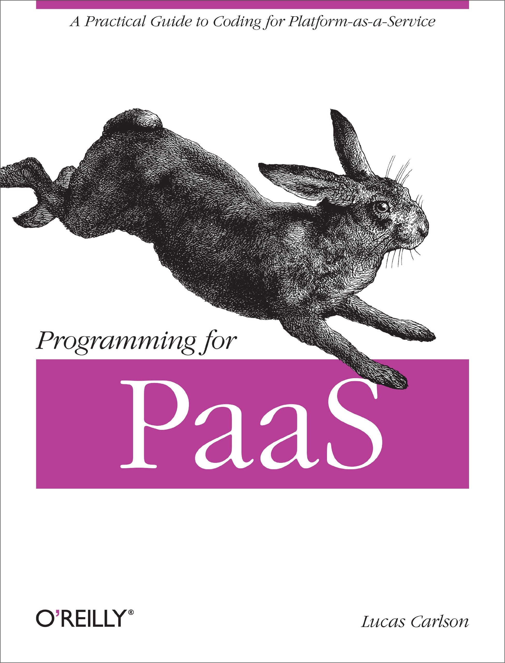 Programming for PaaS: A Practical Guide to Coding for Platform-as-a-Service Computer Science
