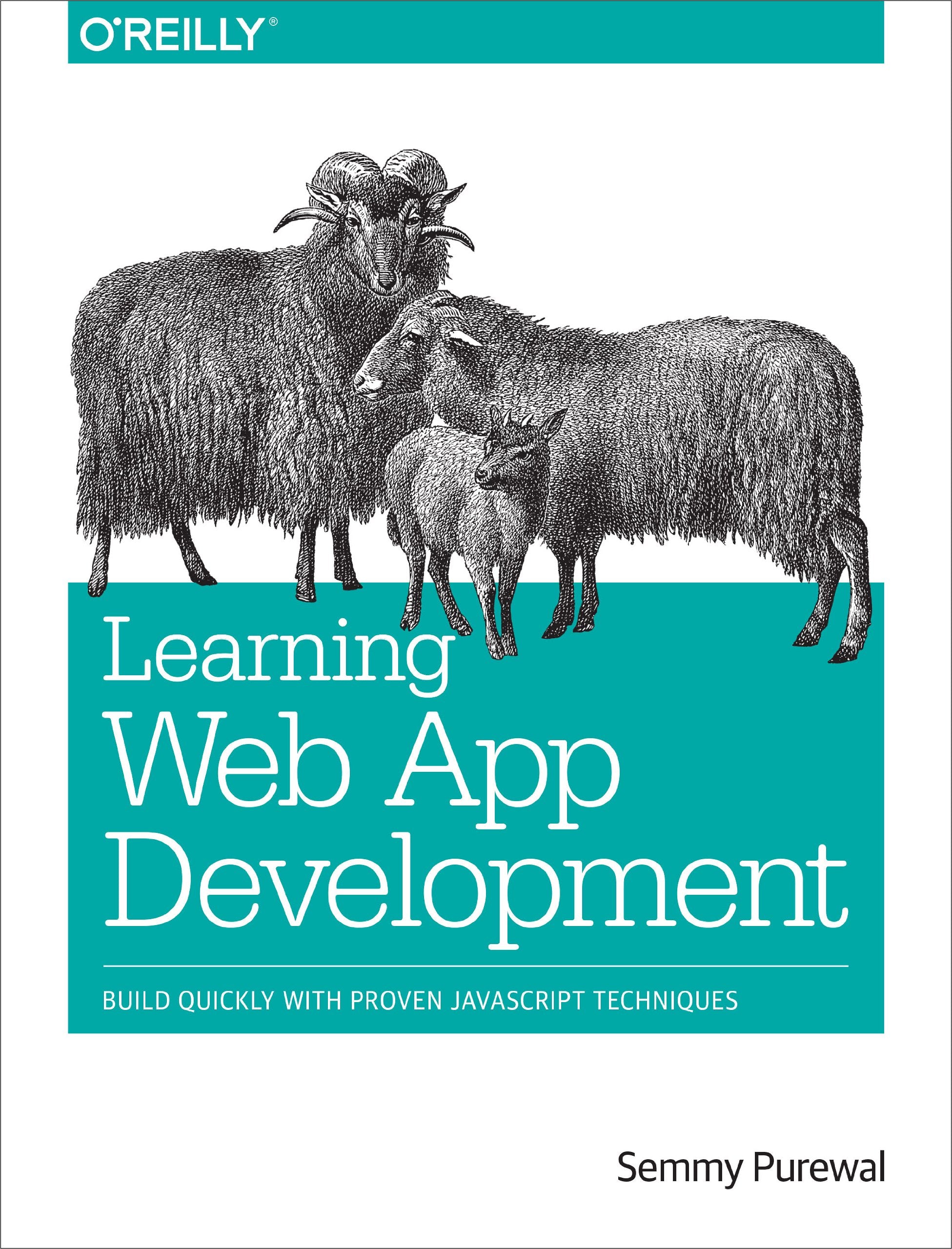 Learning Web App Development Computer Science Books