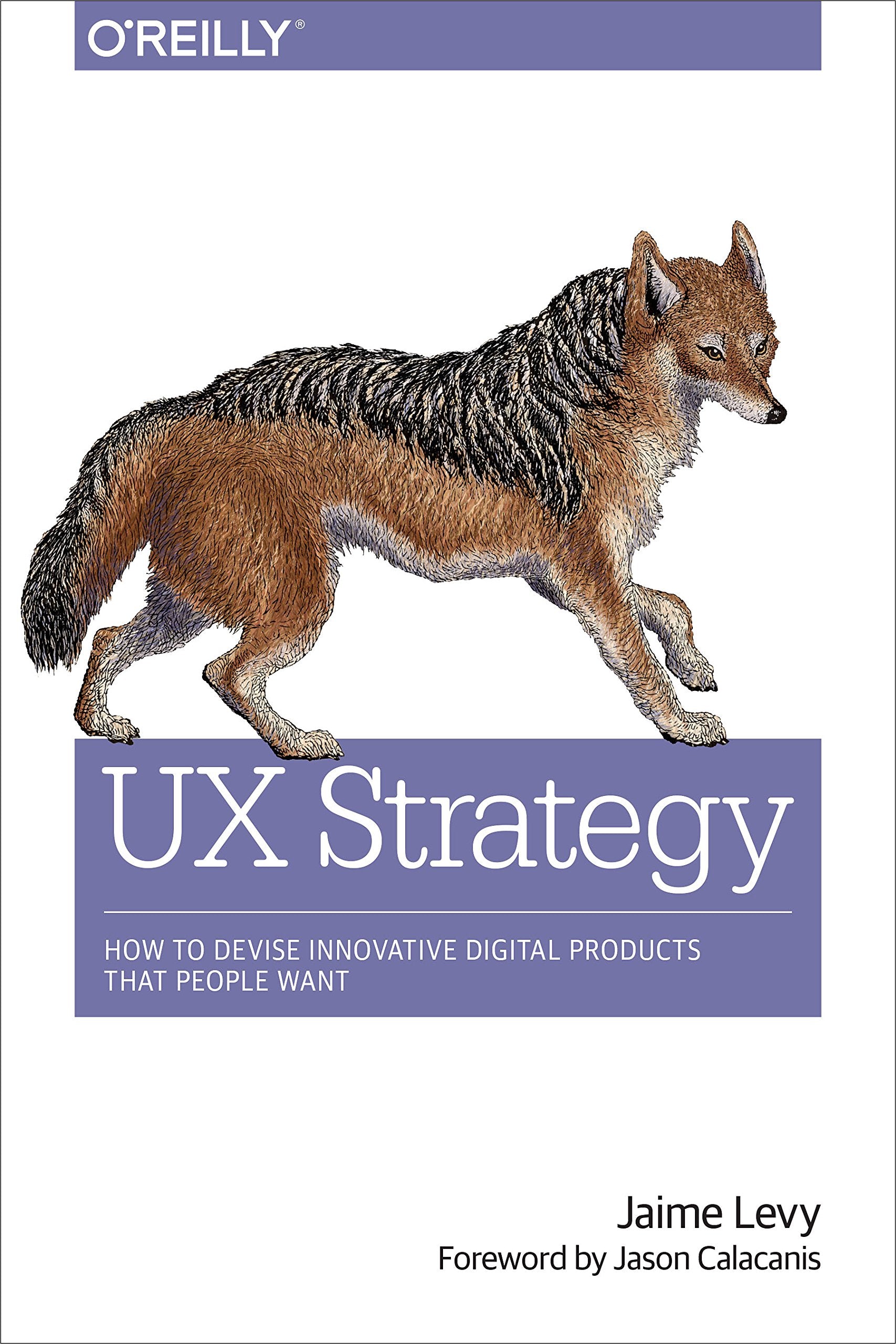 UX Strategy Business, Finance & Career
