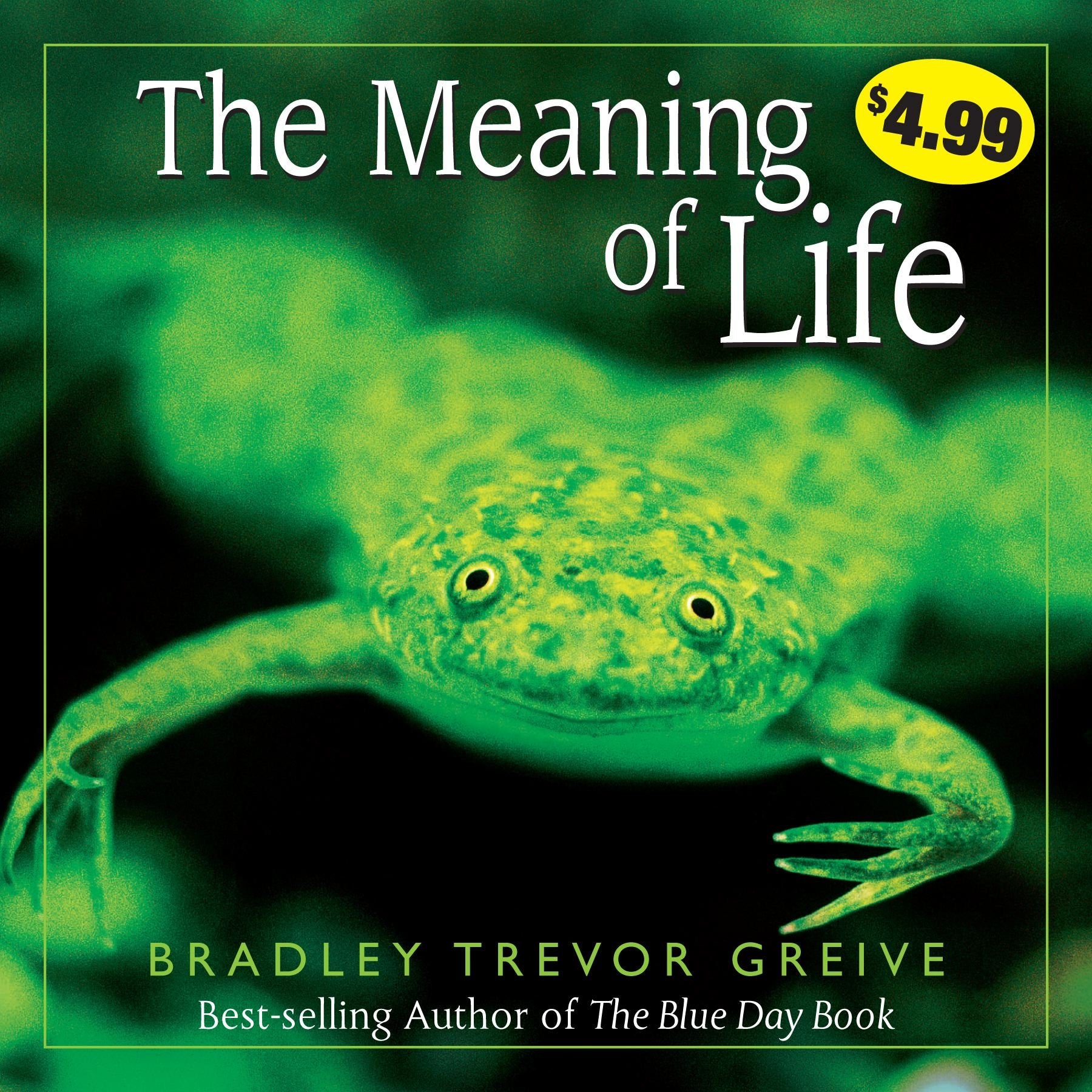 The Meaning of Life Essays & Short Stories