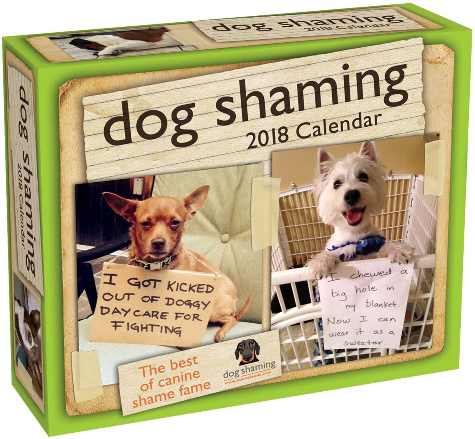 Dog Shaming 2018 Day-to-Day Calendar Manga