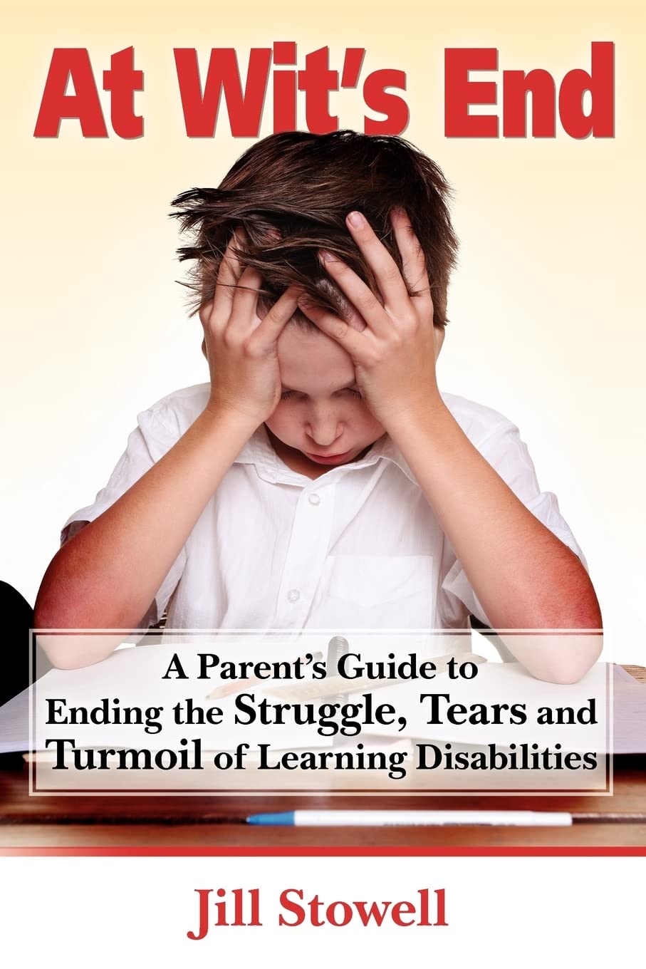 At Wit's End: A Parent's Guide to Ending the Struggle, Tears, and Turmoil of Learning Disabilities Contemporary literature