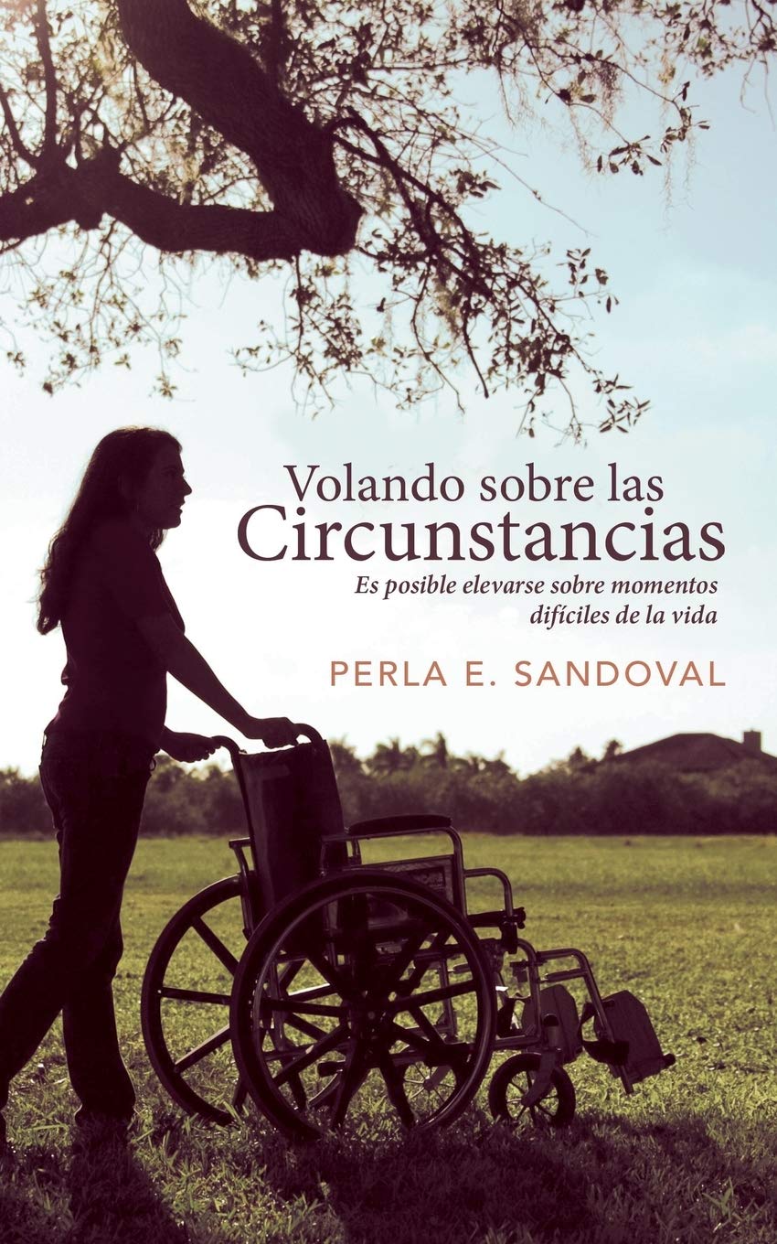 Volando sobre las circunstancias: Es posible elevarse sobre momentos difíciles de la vida: Es Posible Elevarse Sobre Momentos Dificiles de La Vida Business, Finance & Career