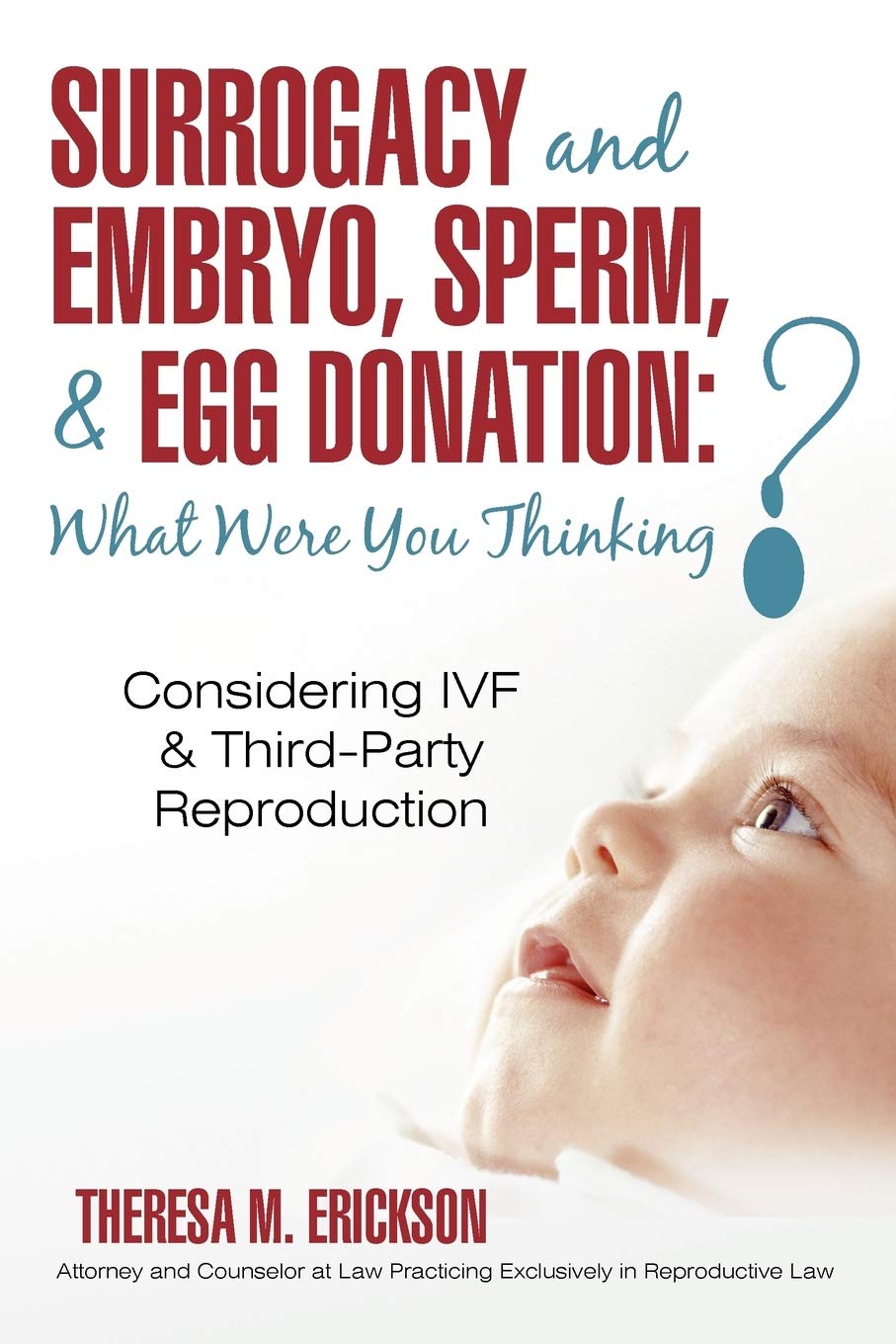 Surrogacy and Embryo, Sperm, & Egg Donation: What Were You Thinking?: Considering Ivf & Third-party Reproduction book