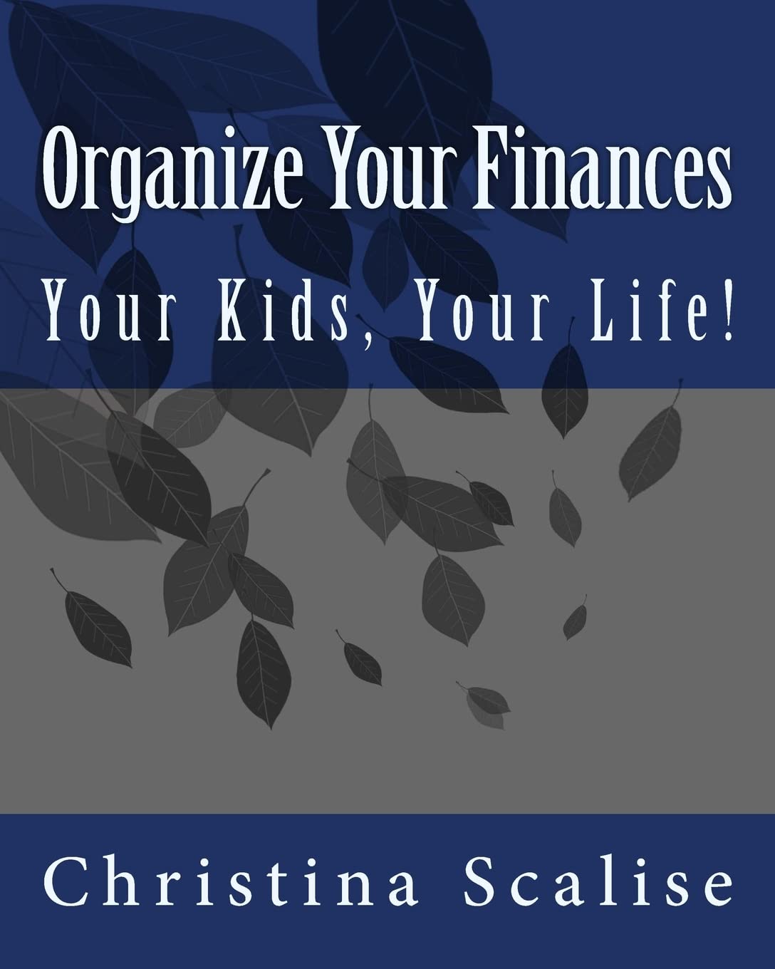 Organize Your Finances, Your Kids, Your Life! Business, Finance & Career