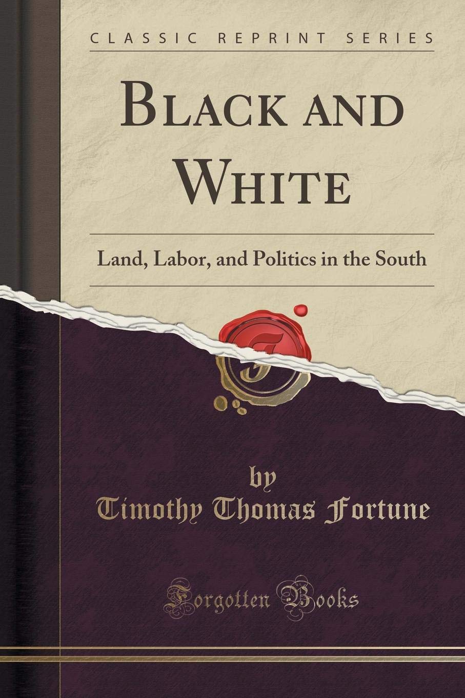 Black and White: Land, Labor, and Politics in the South (Classic Reprint) Politics & History