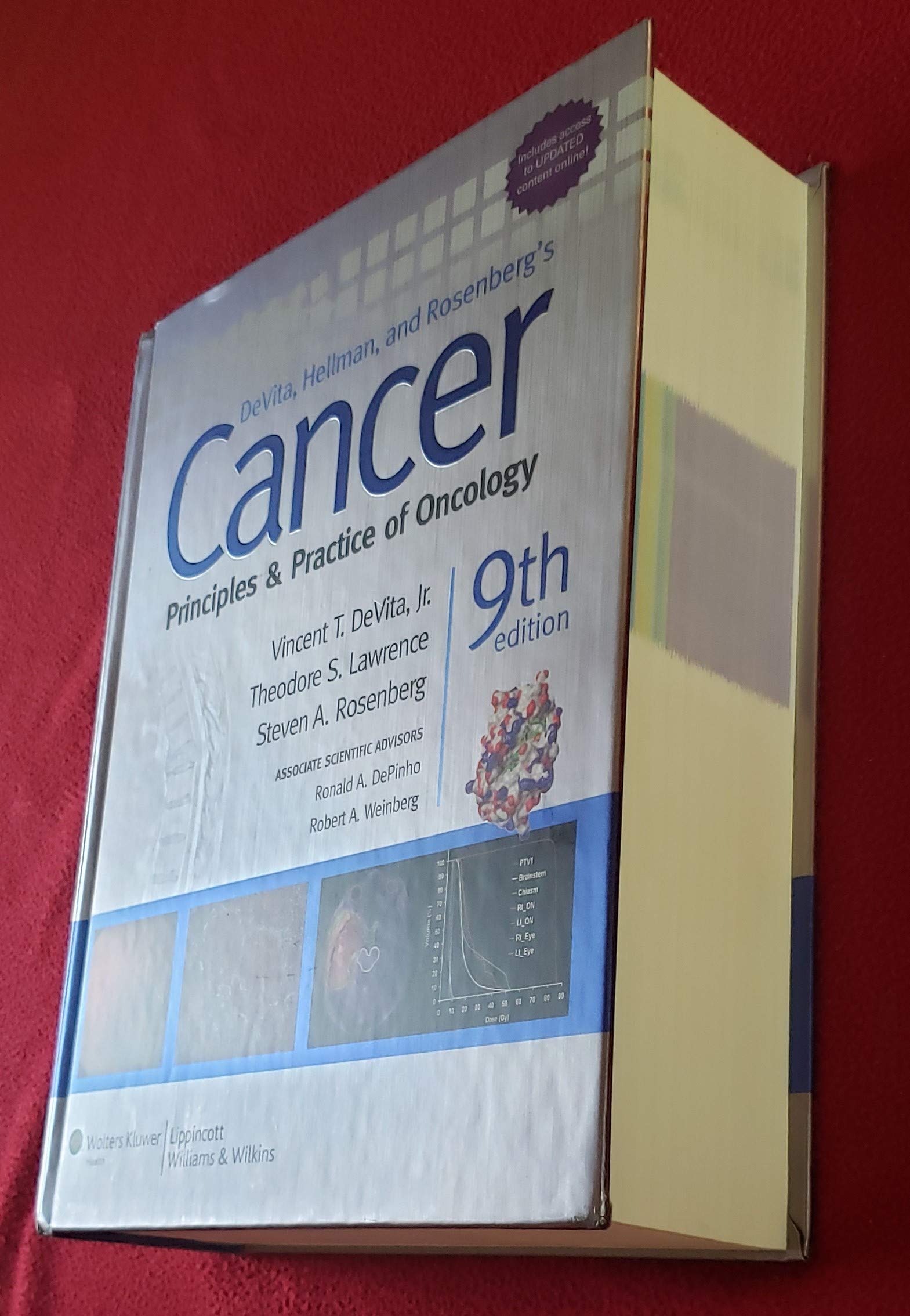 Cancer: Principles & Practice of Oncology (Cancer Principles and Practice of Oncology) Medicine