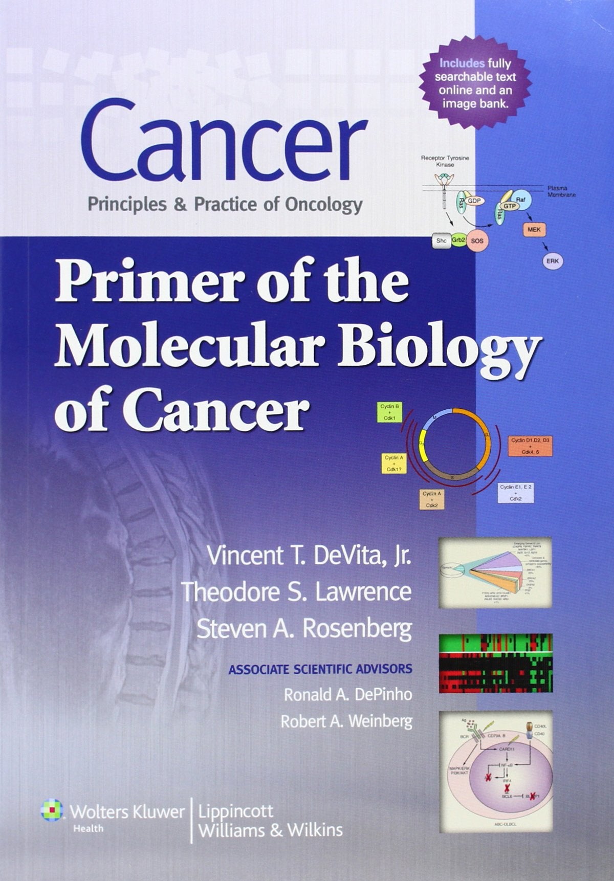 Cancer: Principles & Practice of Oncology: Primer of the Molecular Biology of Cancer Medicine