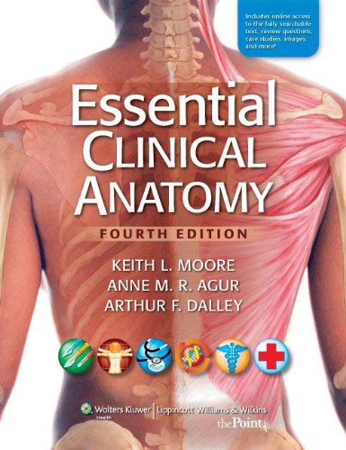 Midwestern 2 Anatomy Package Medicine