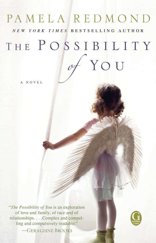 The Possibility of You Historical Fiction