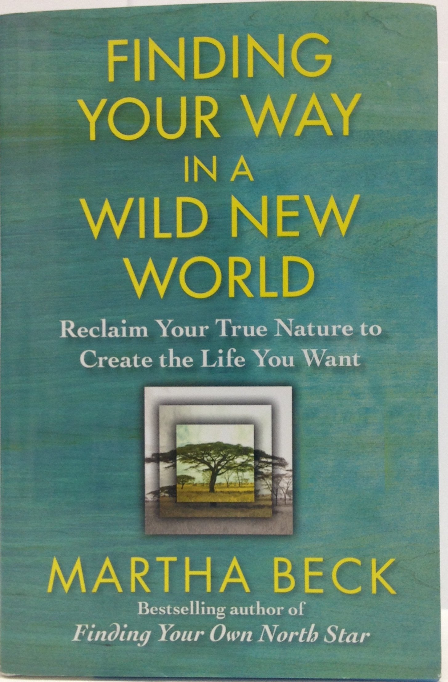 Finding Your Way in a Wild New World: Reclaim Your True Nature to Create the Life You Want Business, Finance & Career