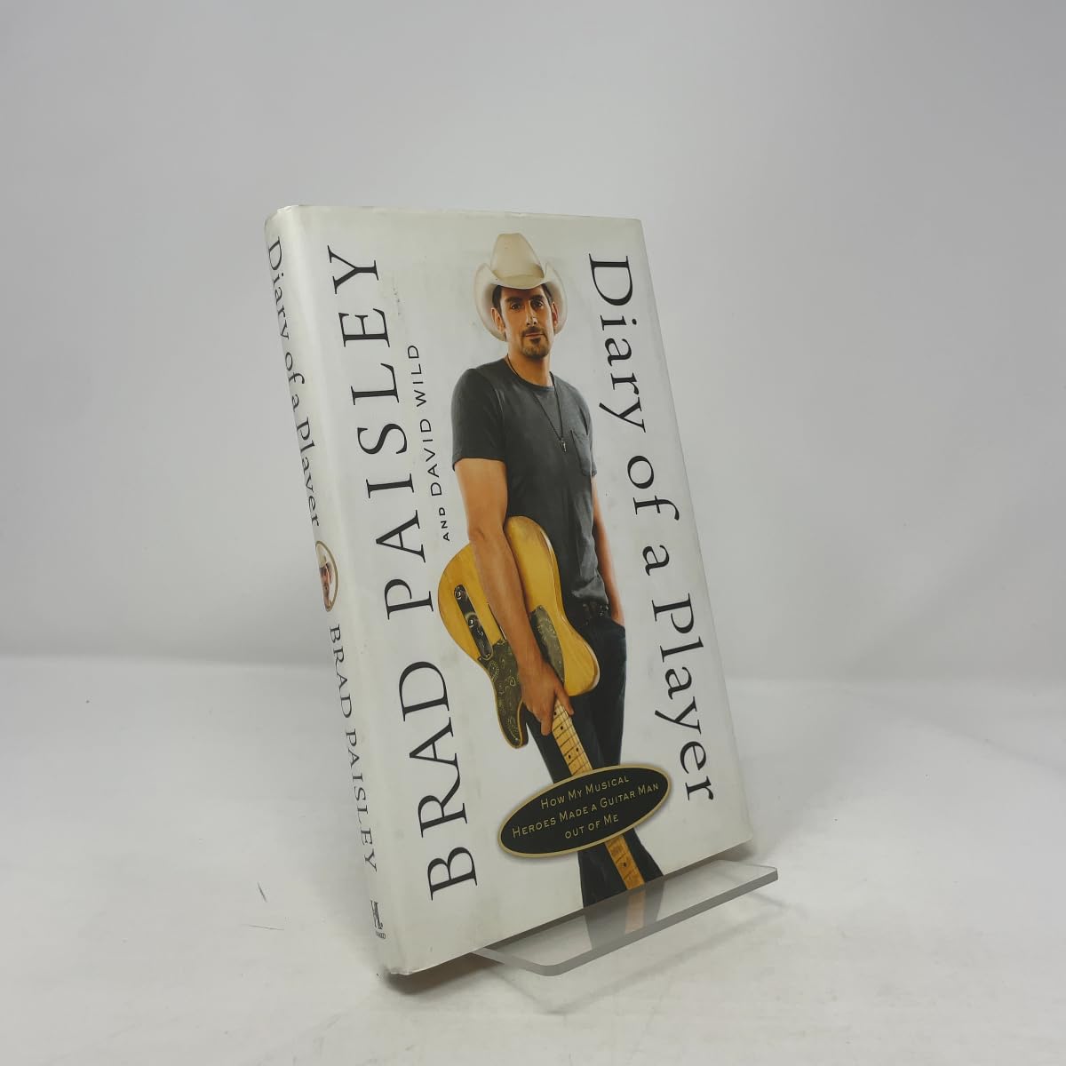 Diary of a Player: How My Musical Heroes Made a Guitar Man Out of Me Pop culture