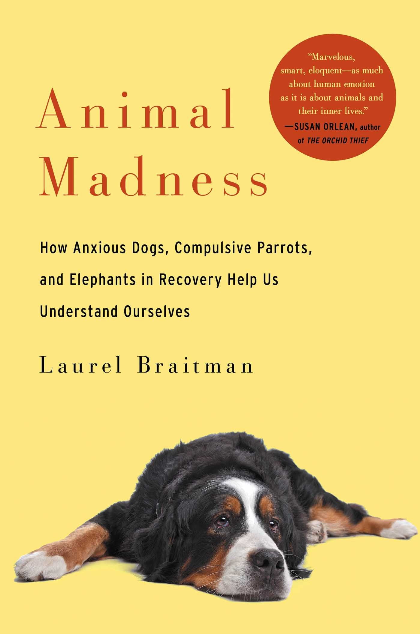 Animal Madness: How Anxious Dogs, Compulsive Parrots, and Elephants in Recovery Help Us Understand Ourselves- book