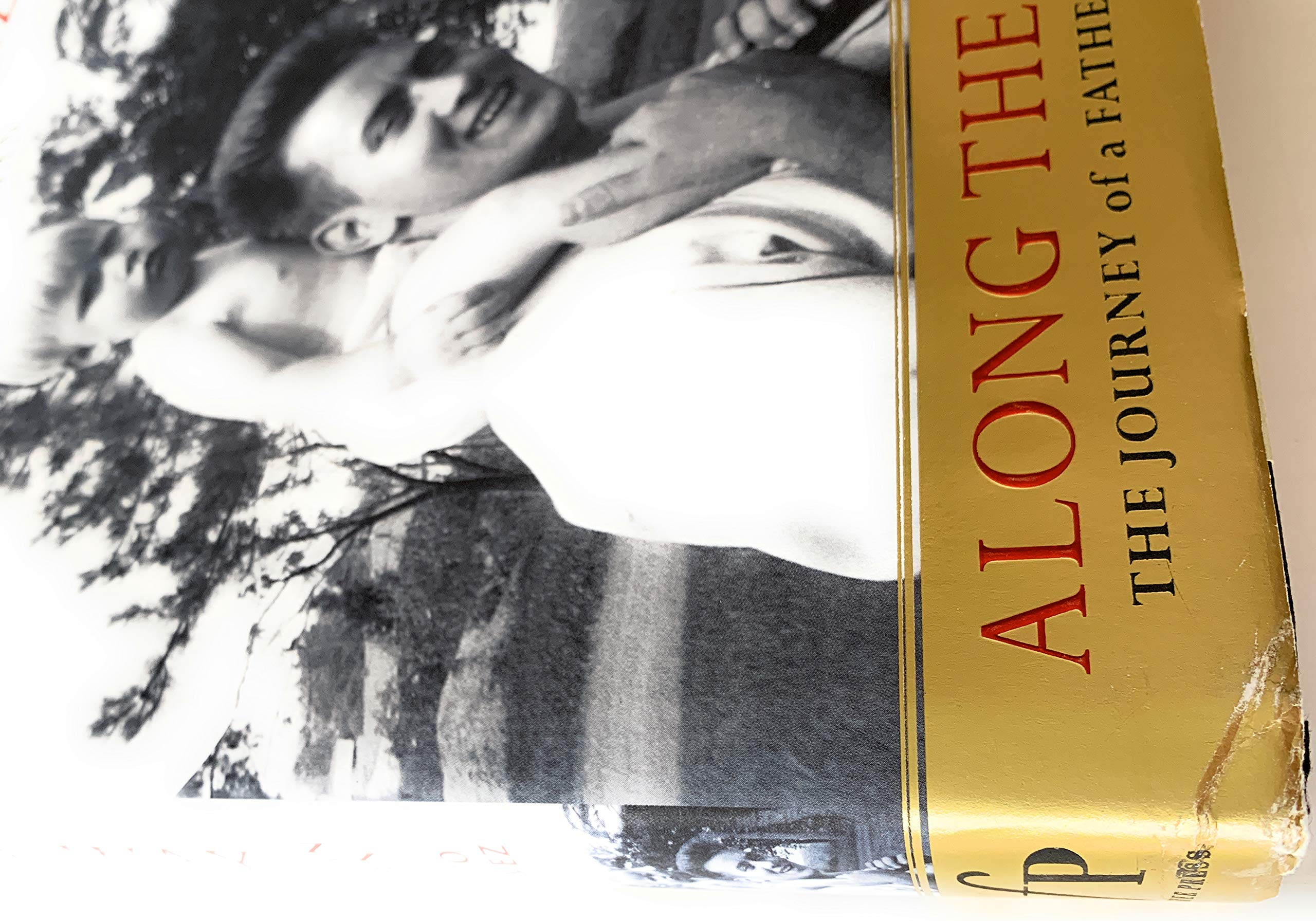 Along the Way: The Journey of a Father and Son Art & Literature