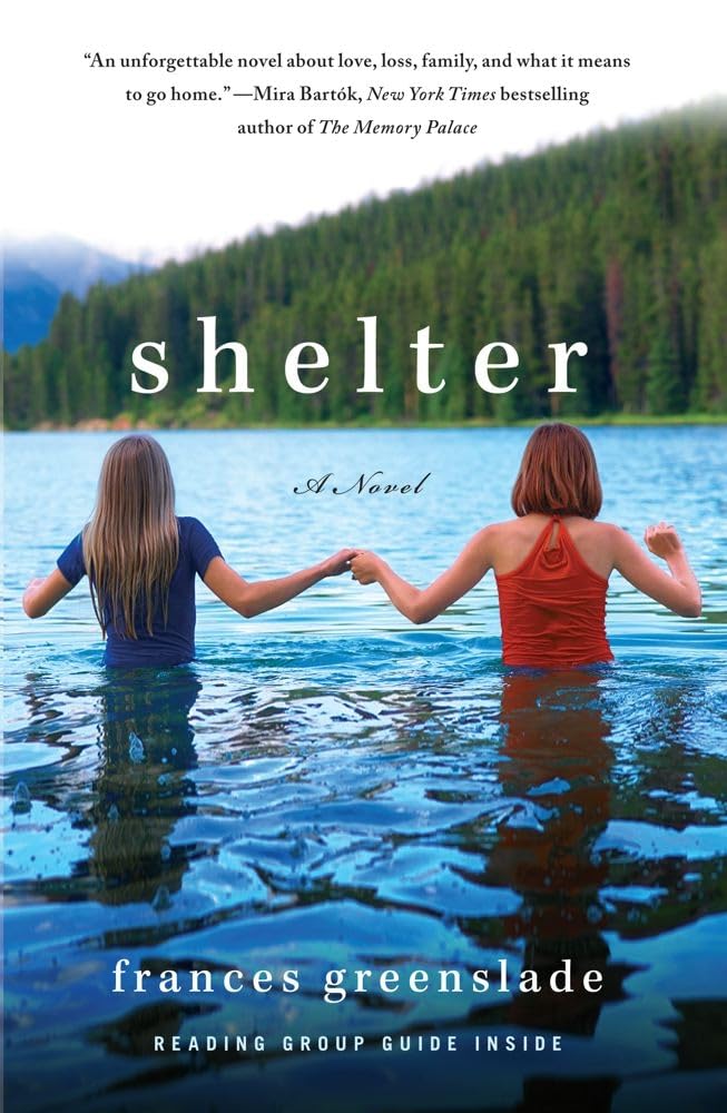 Product Image: Shelter: A Novel