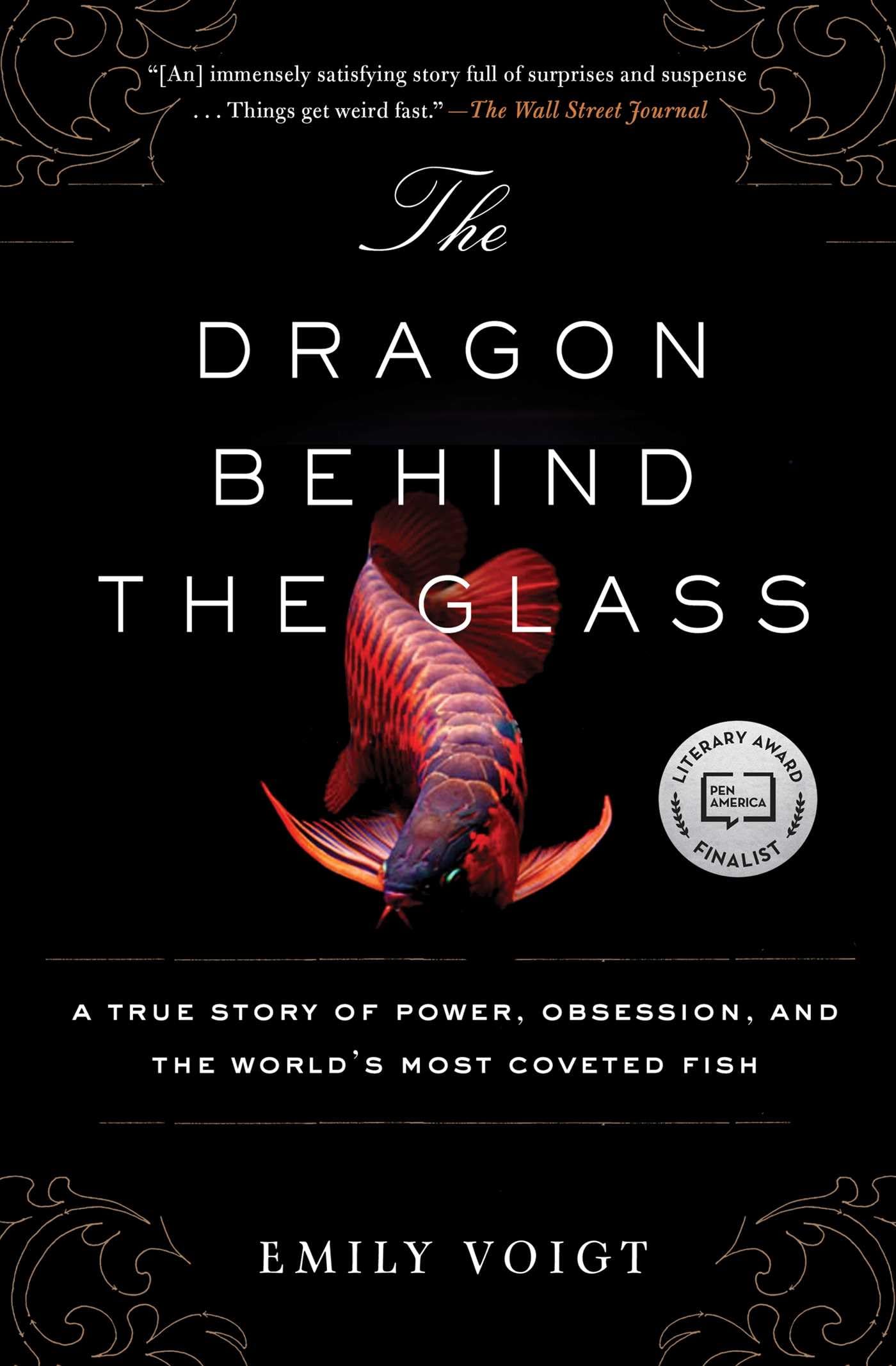 Product Image: The Dragon Behind the Glass