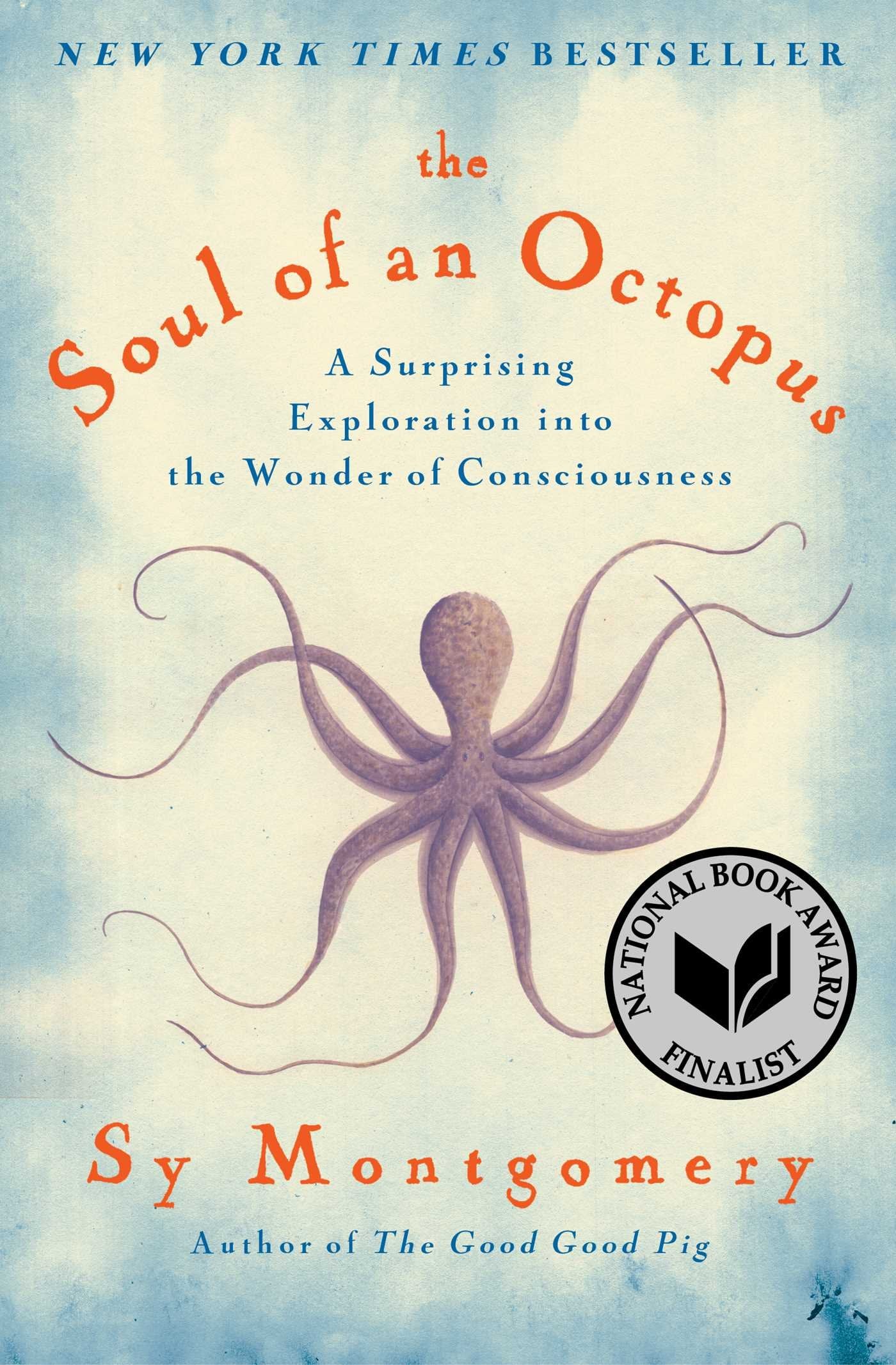 The Soul of an Octopus Mathematics