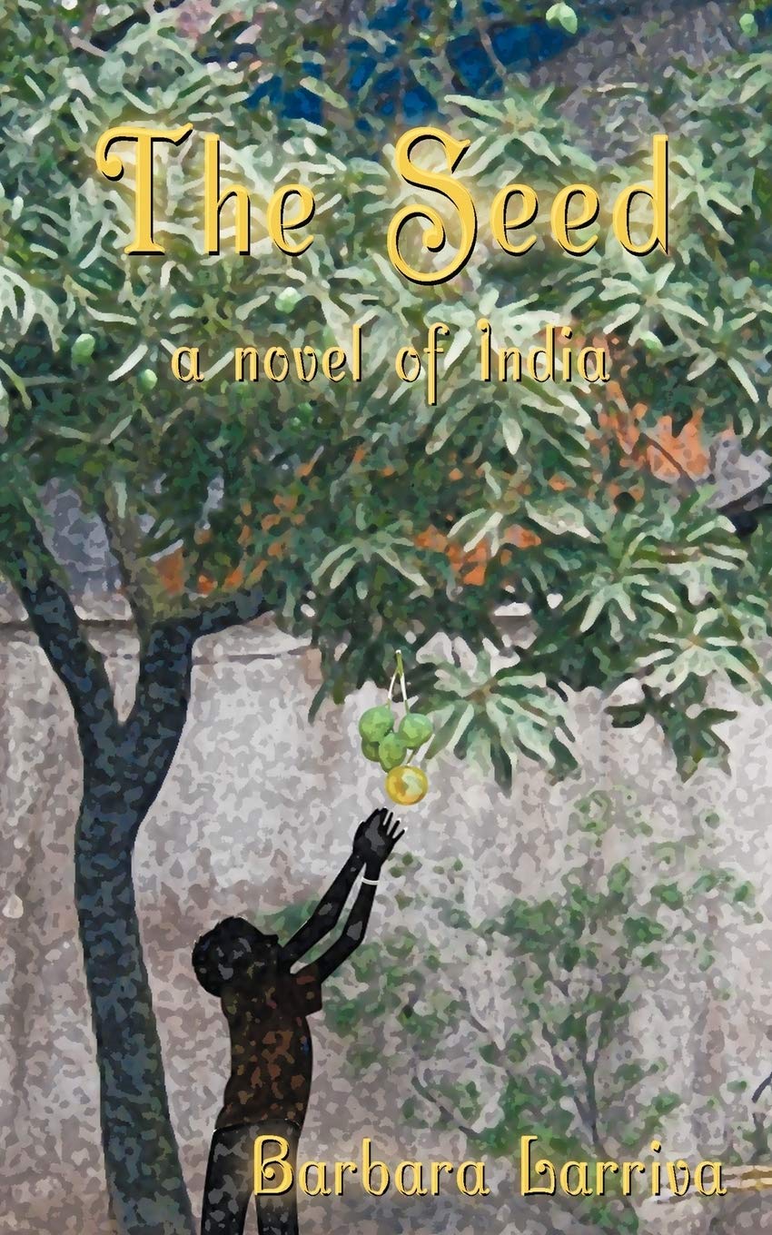 The Seed: A Novel of India Contemporary literature