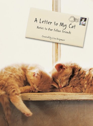 A Letter to My Cat Pets