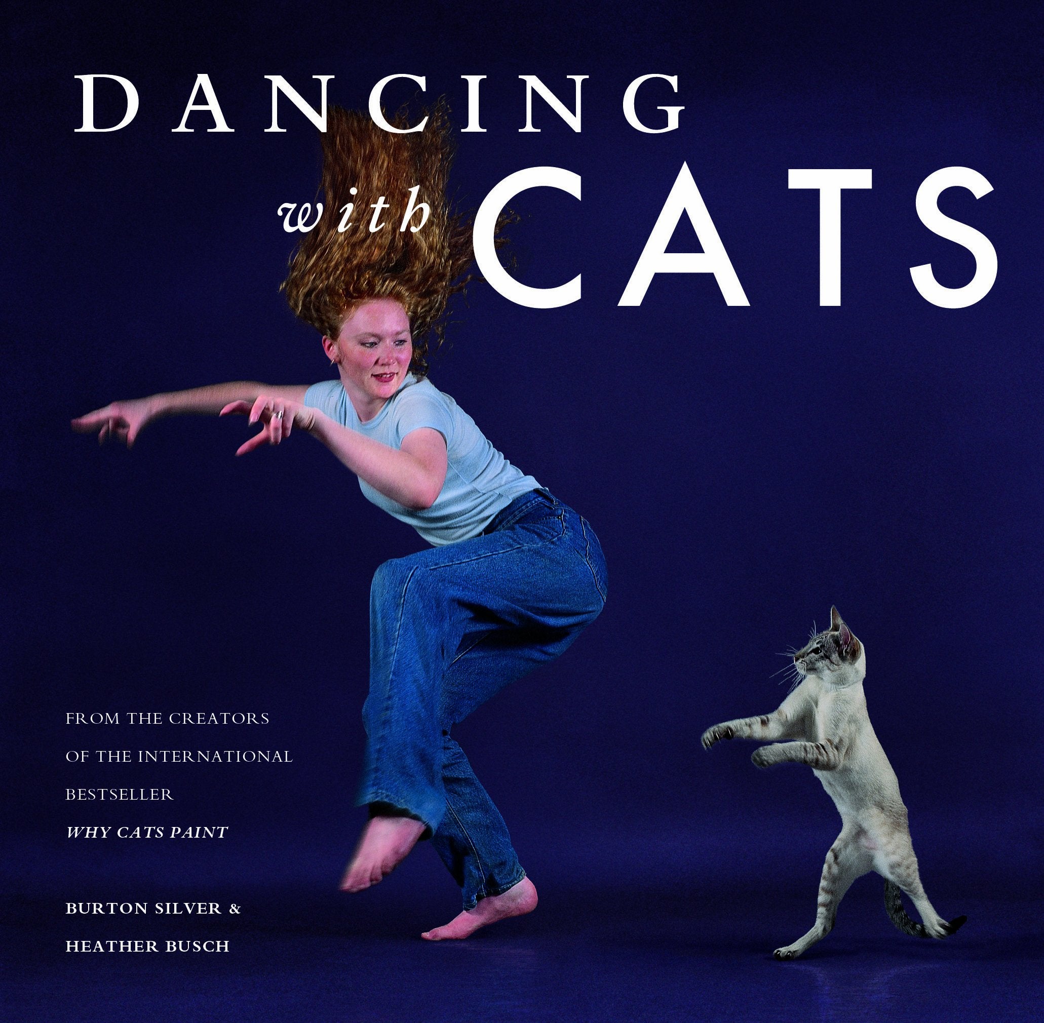 Dancing with Cats Film, Art & Culture