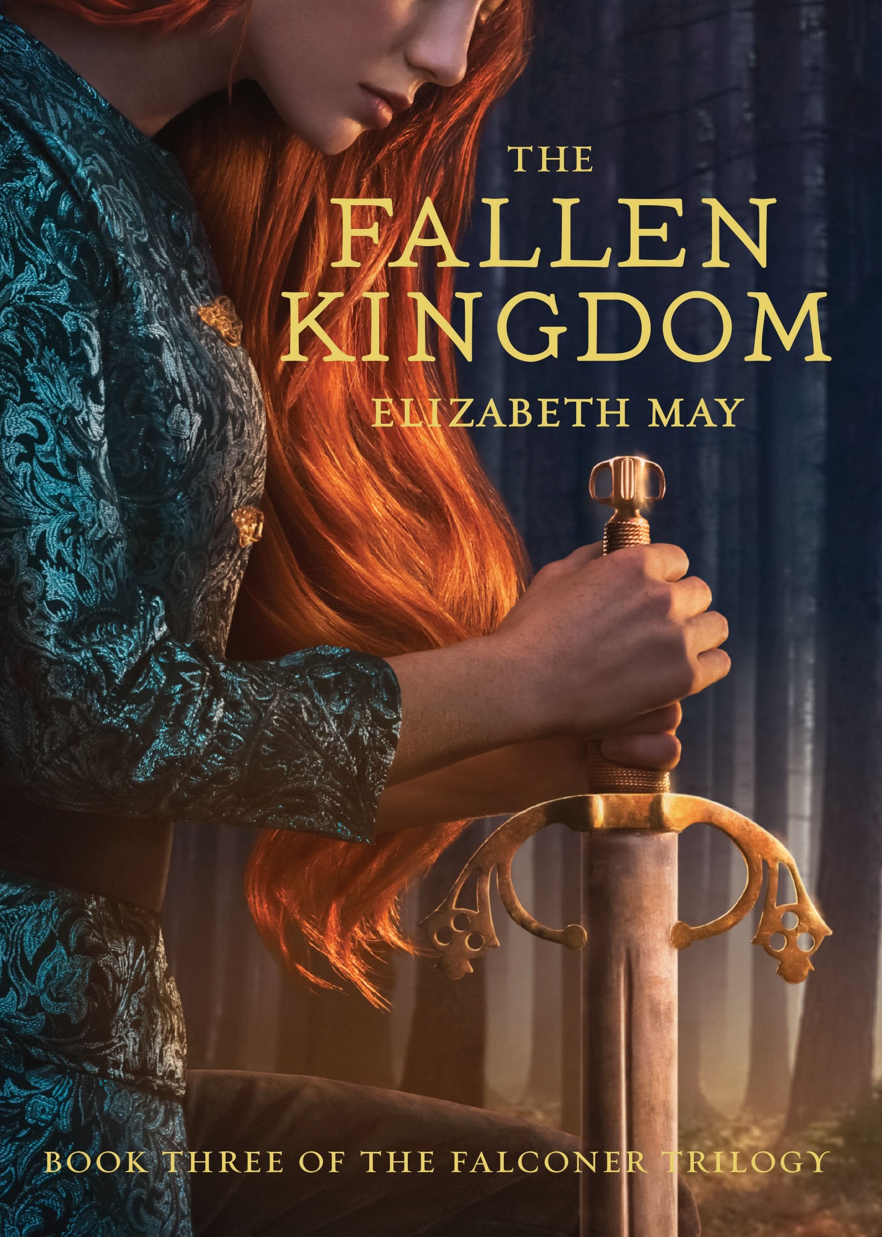 The Fallen Kingdom: Book Three of the Falconer Trilogy (Young Adult Books, Fantasy Novels, Trilogies for Young Adults) Fiction