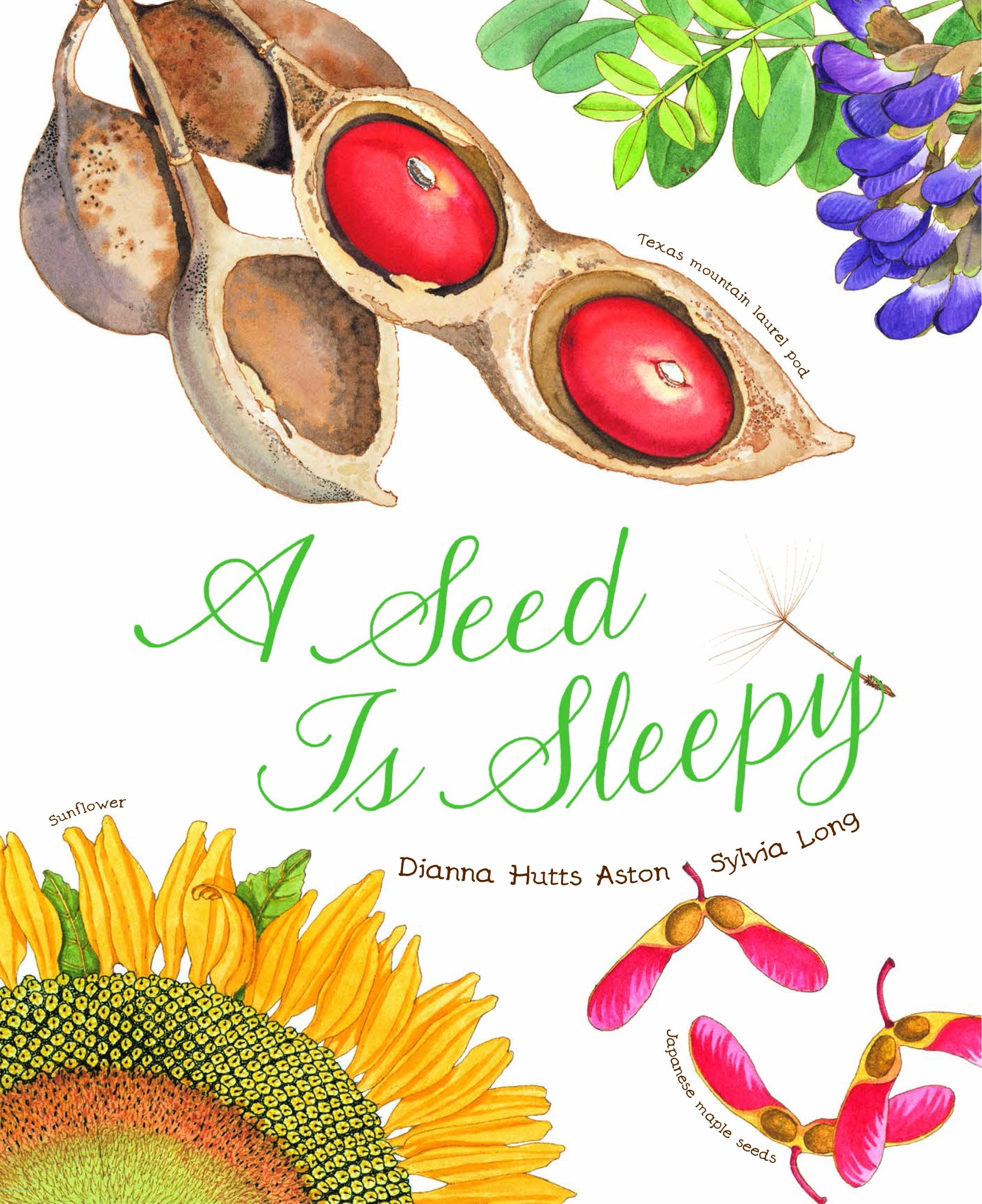 A Seed Is Sleepy: (Nature Books for Kids, Environmental Science for Kids) (Sylvia Long) book