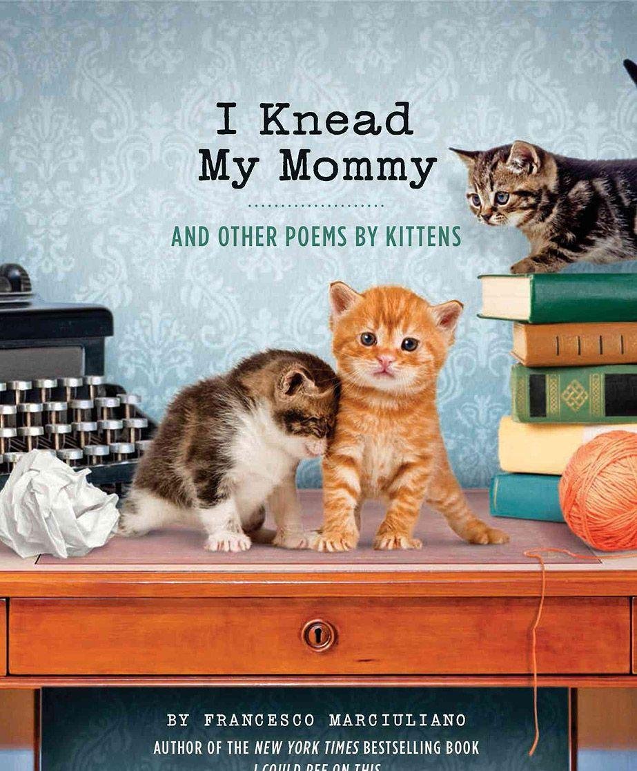 I Knead My Mommy: And Other Poems by Kittens Humour & Satire
