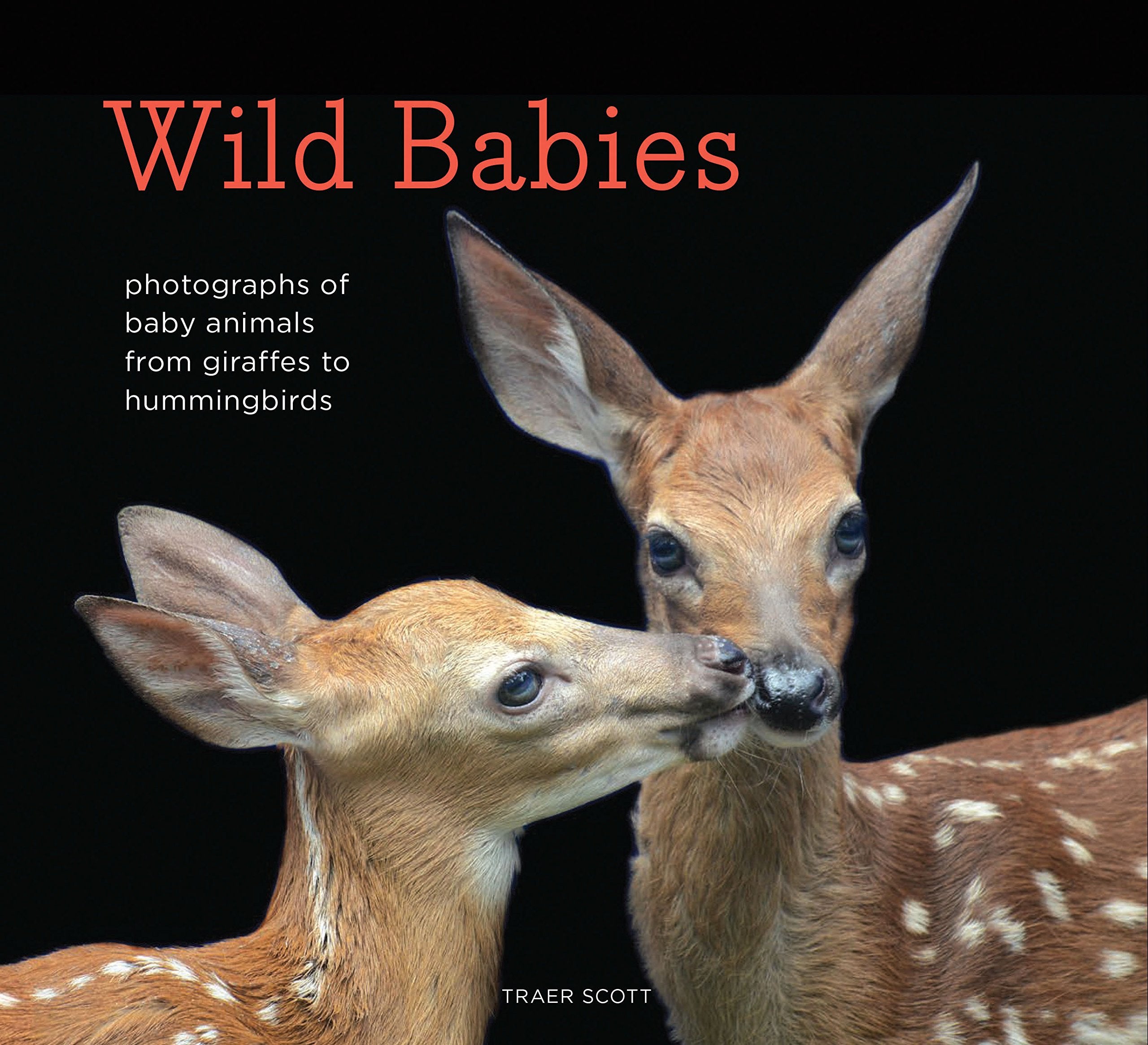 Wild Babies: Photographs of Baby Animals from Giraffes to Hummingbirds Mathematics