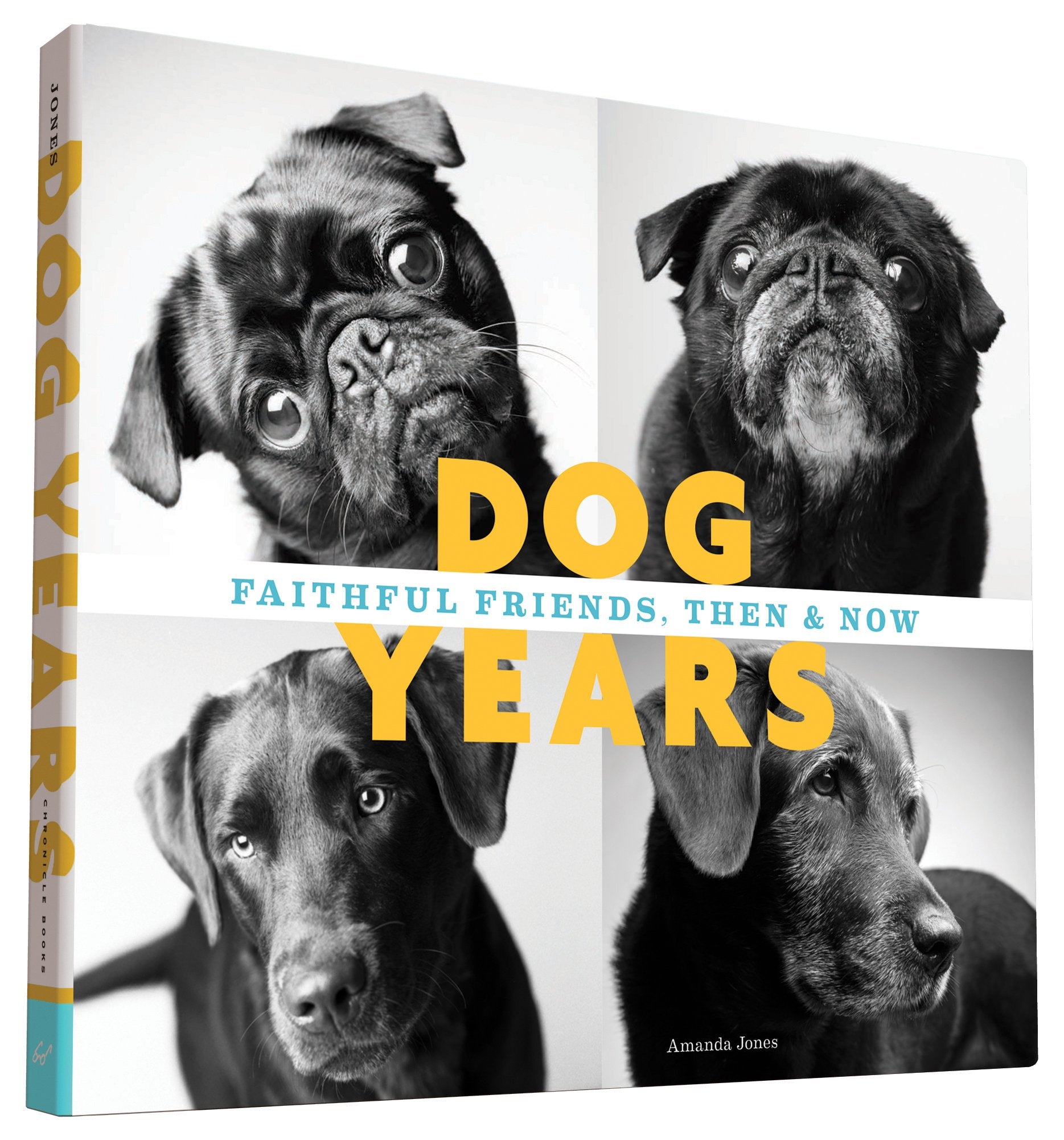 Dog Years Travel Books