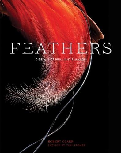 Feathers: Displays of Brilliant Plumage Travel