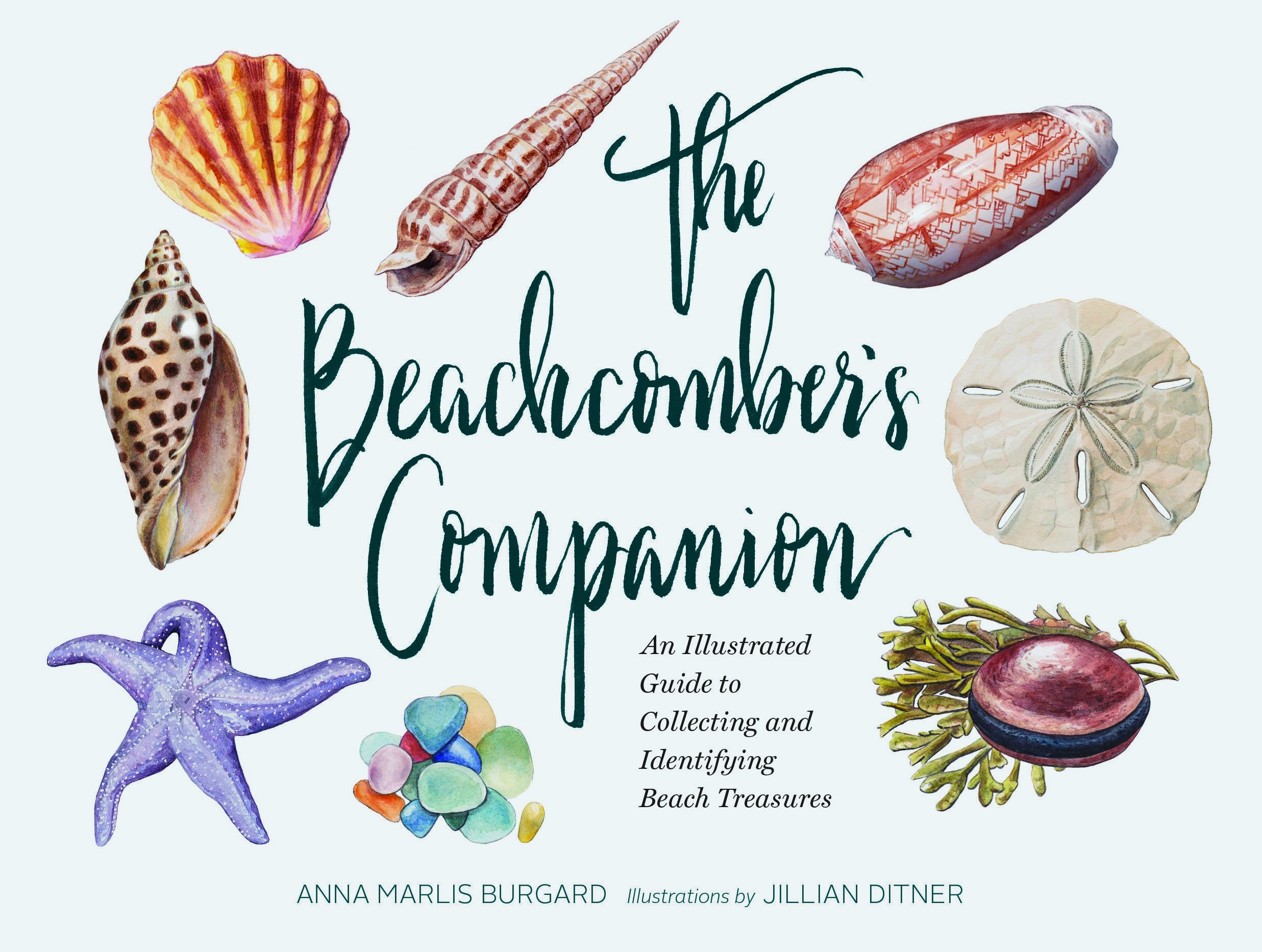 The Beachcomber's Companion Mathematics