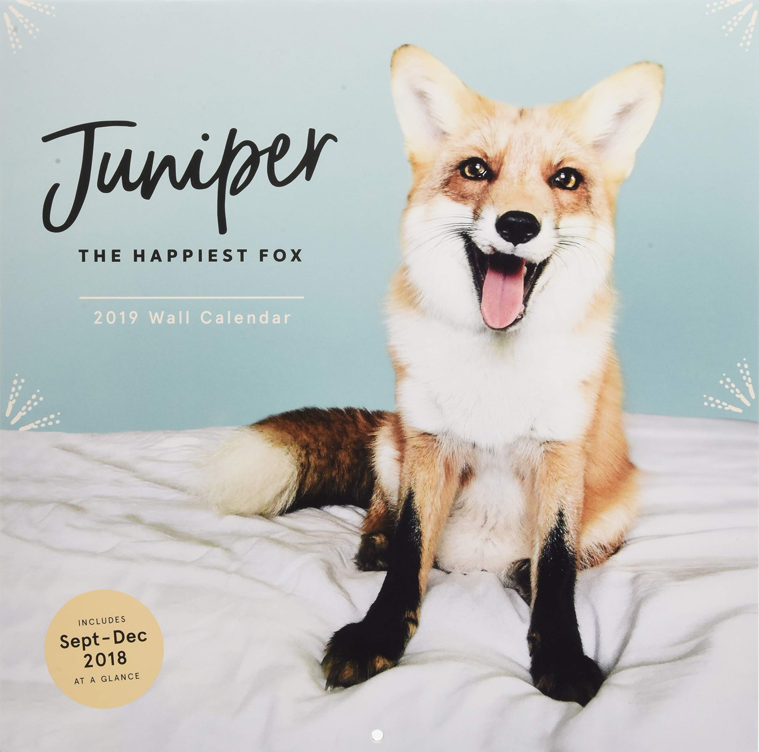 Juniper: The Happiest Fox 2019 Wall Calendar: Wall Calendar. Includes Sept-Dec 2018 at a glance Leisure, Home & Garden